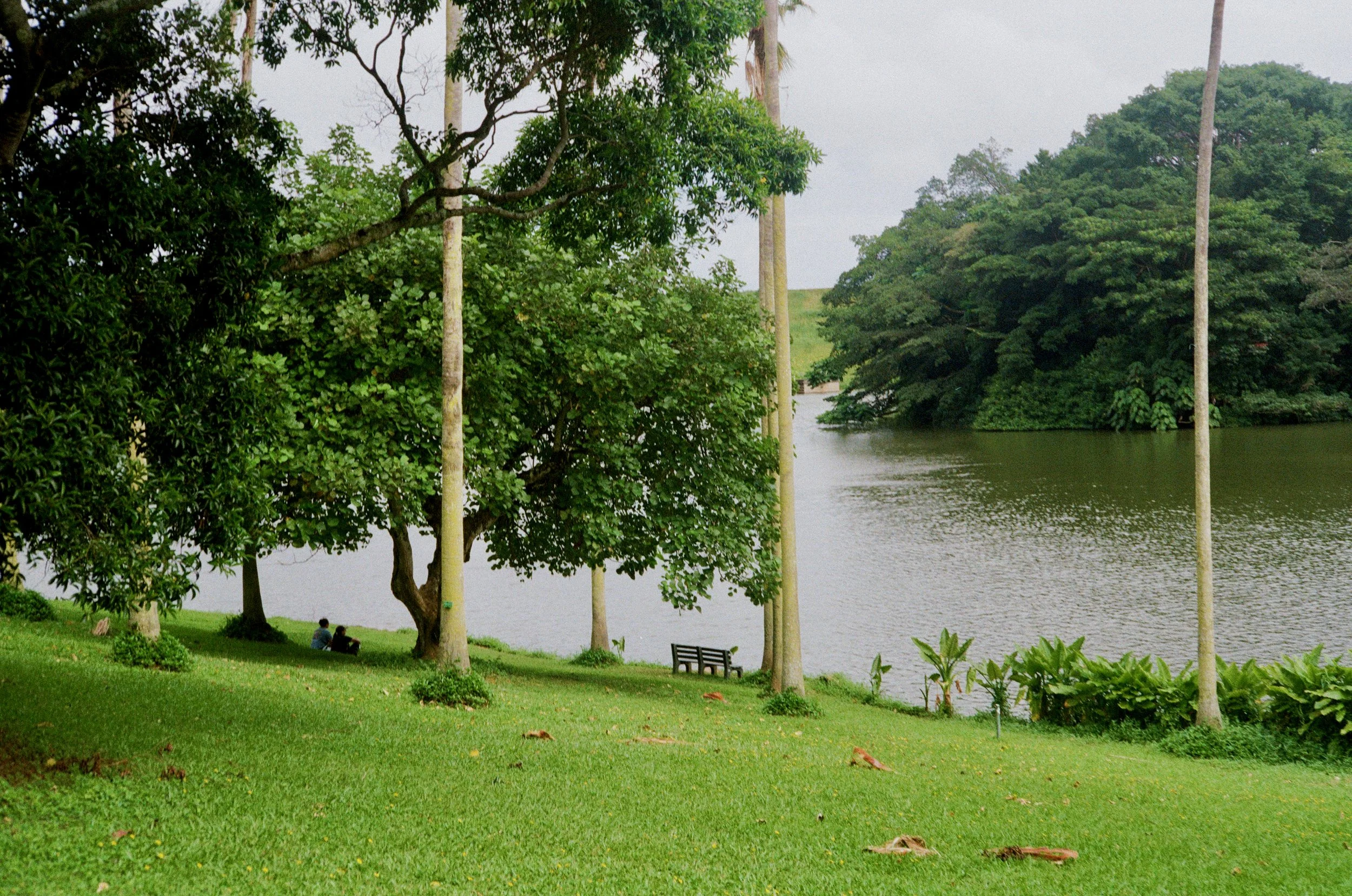 A park with lush green grass, trees, and a river in the background. Two people are sitting on a bench near the water, and there is a picnic table adjacent to them. The scene is peaceful and natural.