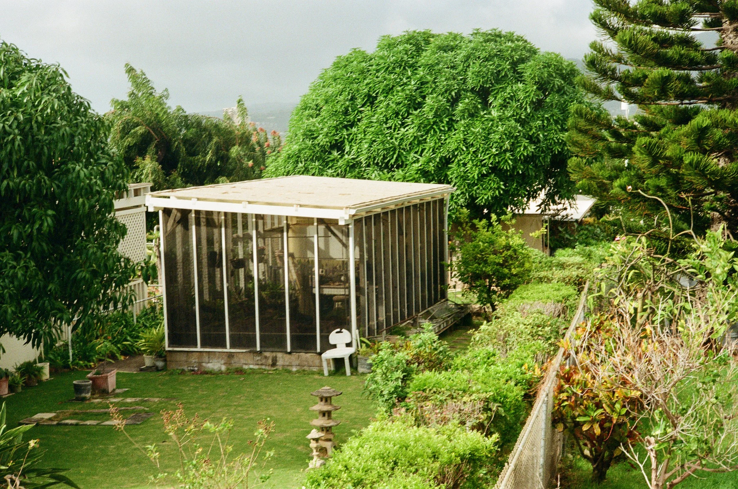A lush residential backyard with various trees, a garden, a small white chair, and a plant-covered fence.
