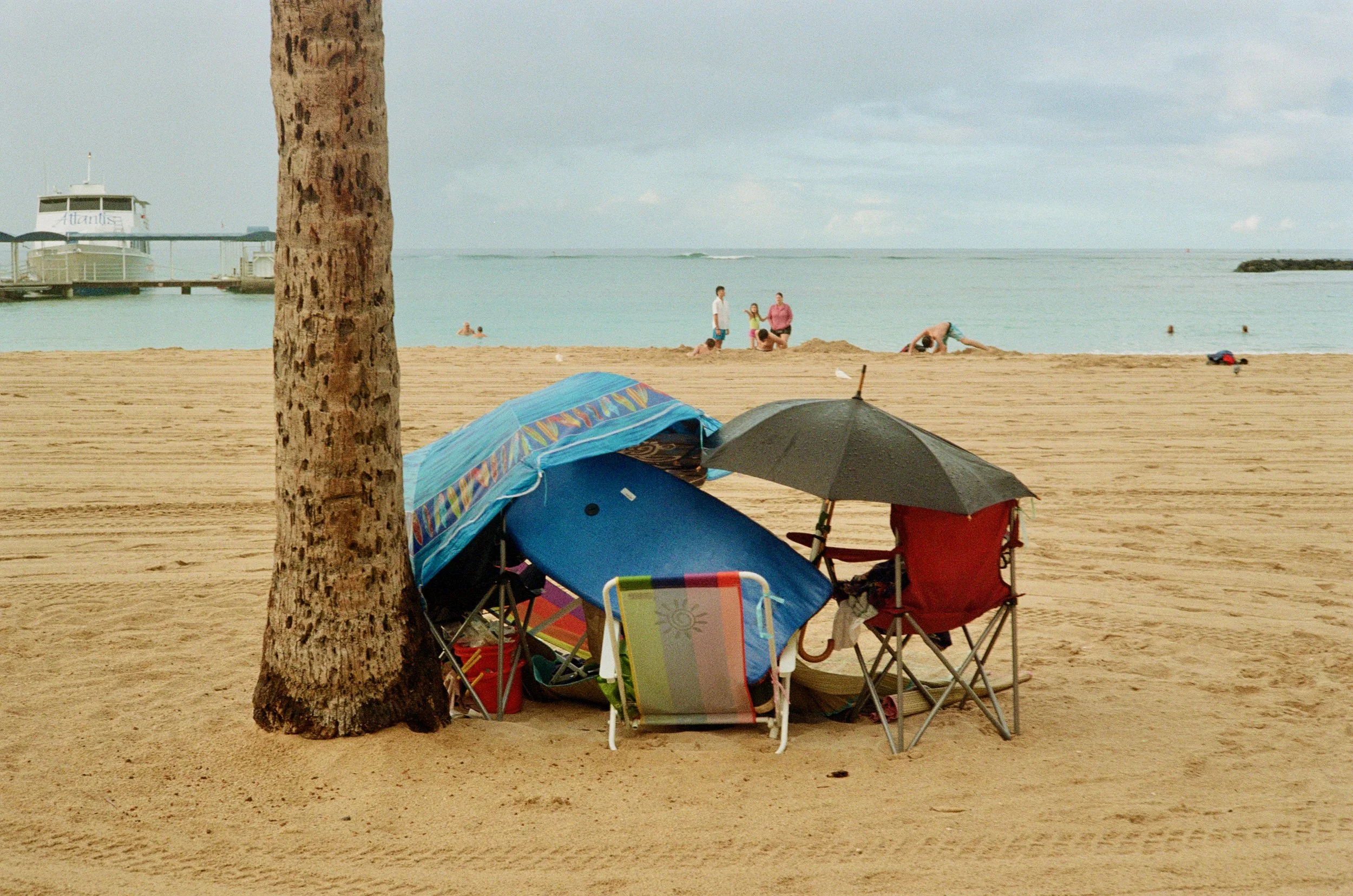 Beach scene with a tall palm tree in the foreground, colorful beach tents and chairs under the tree, a woman and girl standing near the water's edge, and a man bending over, possibly picking up something; in the background, there are people swimming 