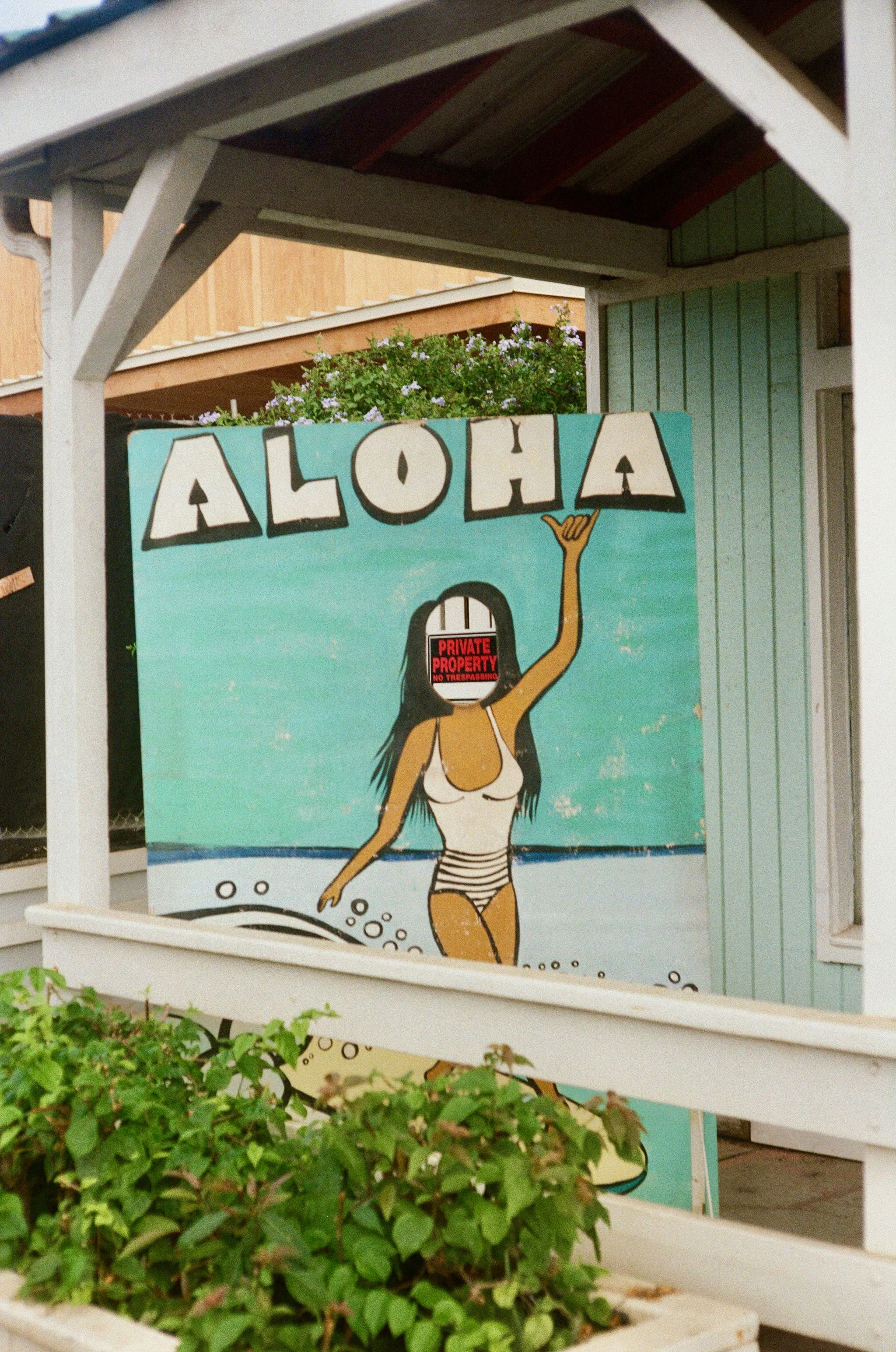A painted sign featuring a cartoon woman in a bikini with the word chat bubble reading "ALOHA" above her head, standing in shallow water, with green plants in a planter in the foreground.