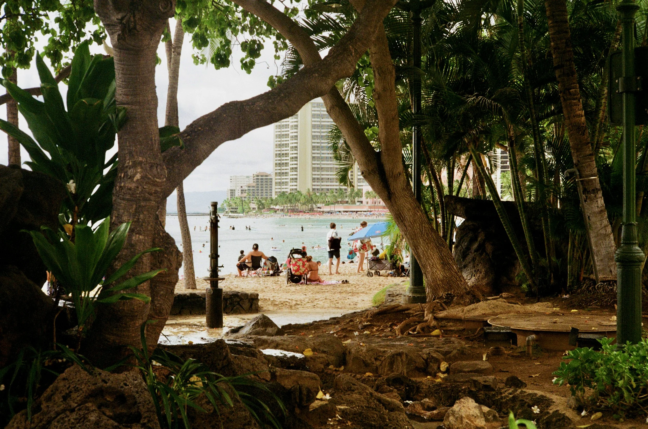A view of a beach through a natural frame of trees and plants, showing people relaxing on the sand, ocean waves, and buildings in the distance.