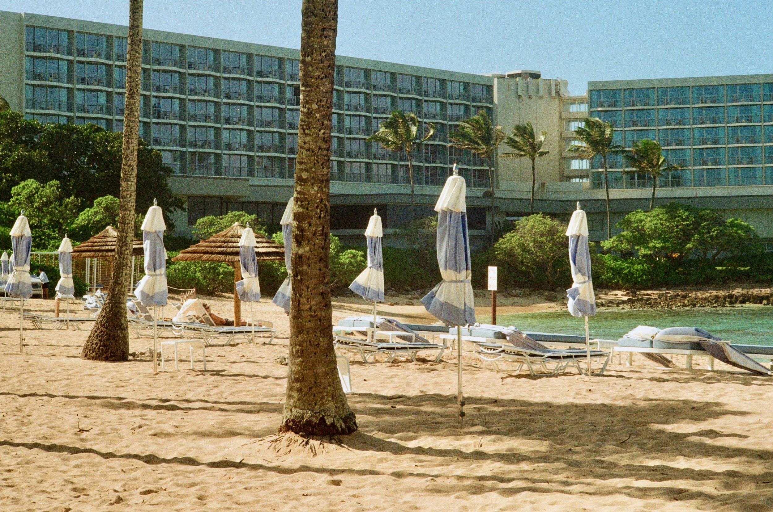 A beach scene with palm trees, umbrellas, and lounge chairs, with a large multi-story hotel building in the background on a sunny day.