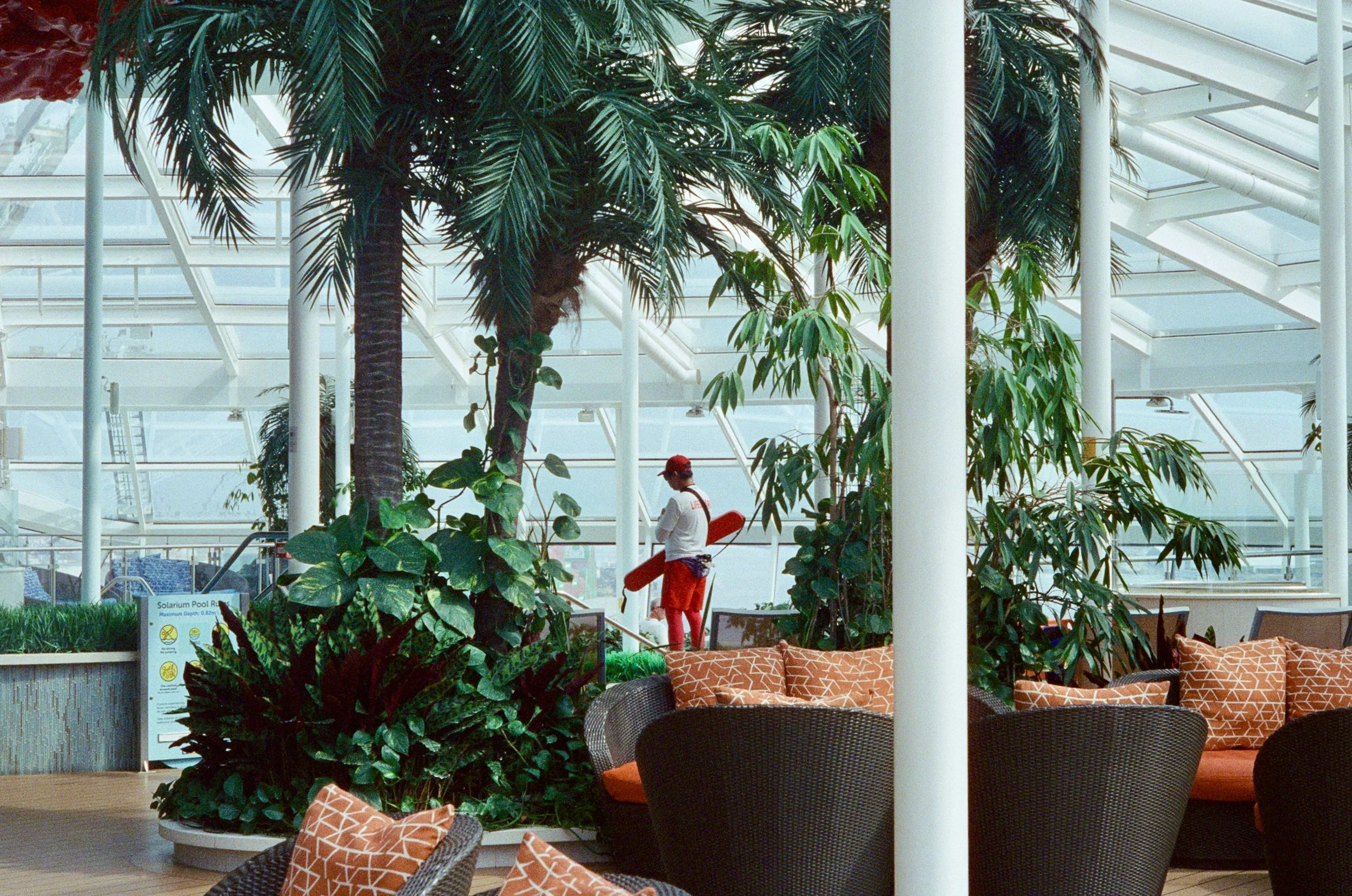 Interior of a modern airport terminal with tall palm trees and lush greenery, seating area with orange patterned cushions, and a person in a red hat walking past. The structure features glass walls and white support columns.