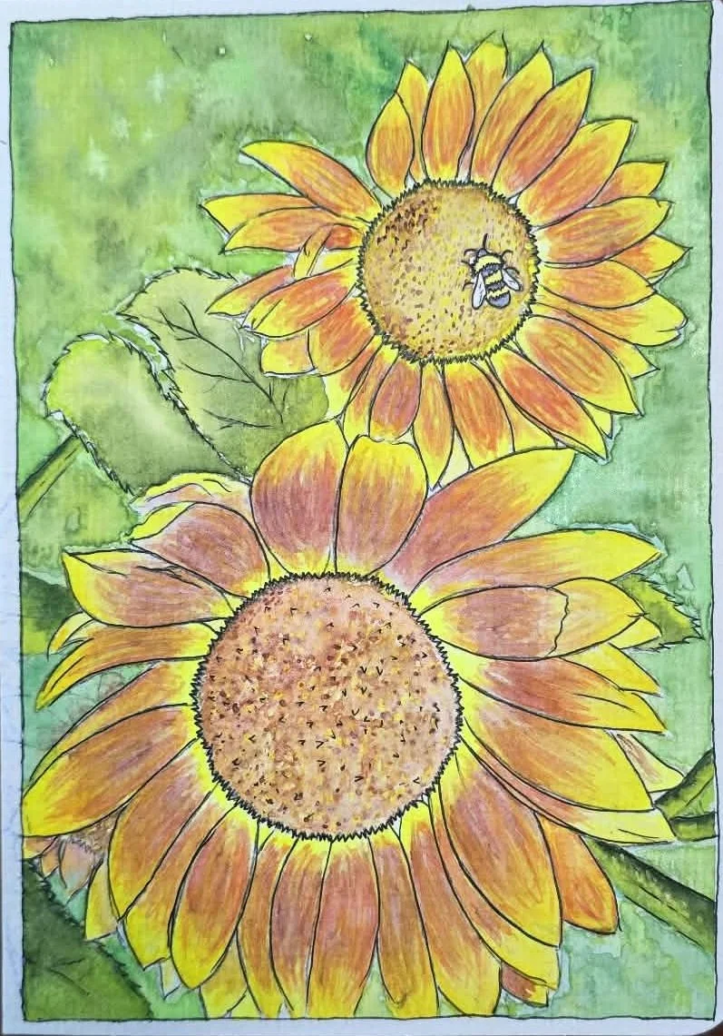 Sunflowers