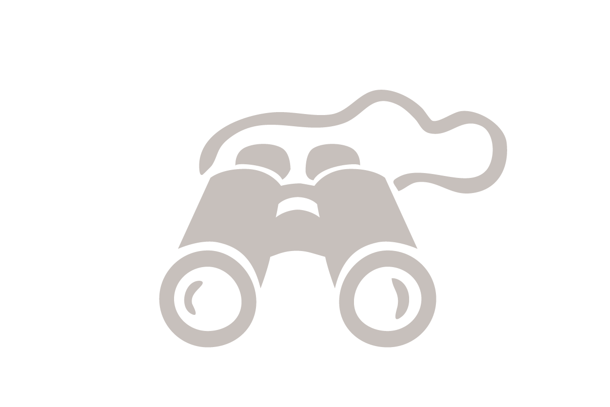 Gray icon of binoculars with a Santa hat on top.