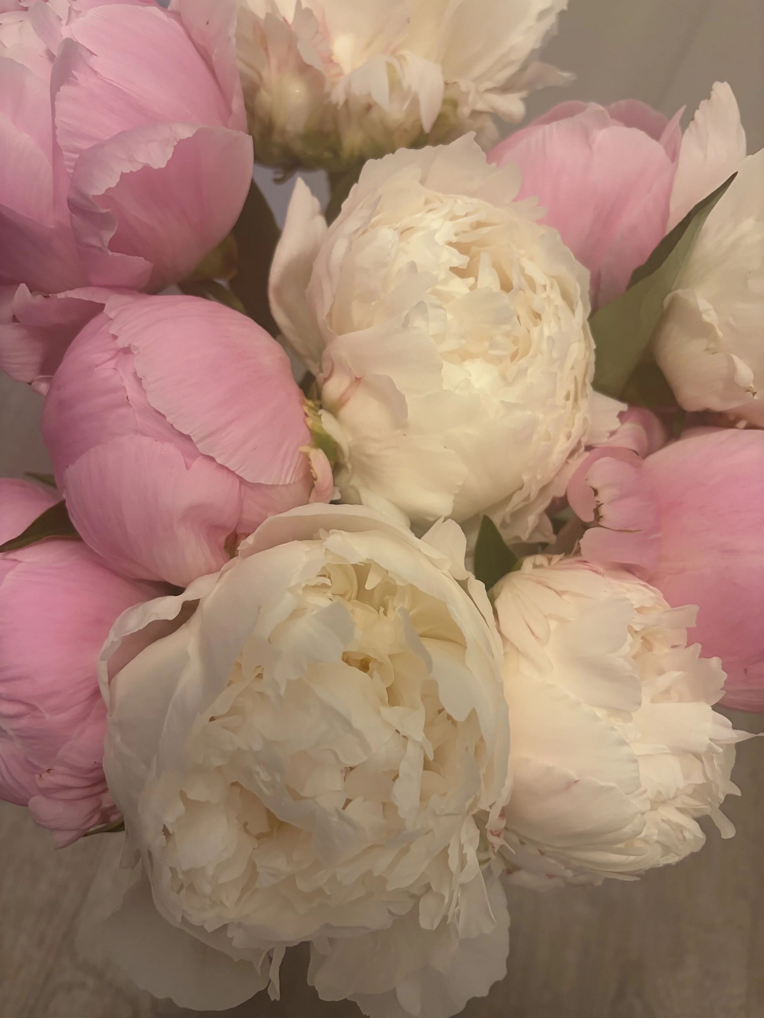 The Signature Peony Bunch