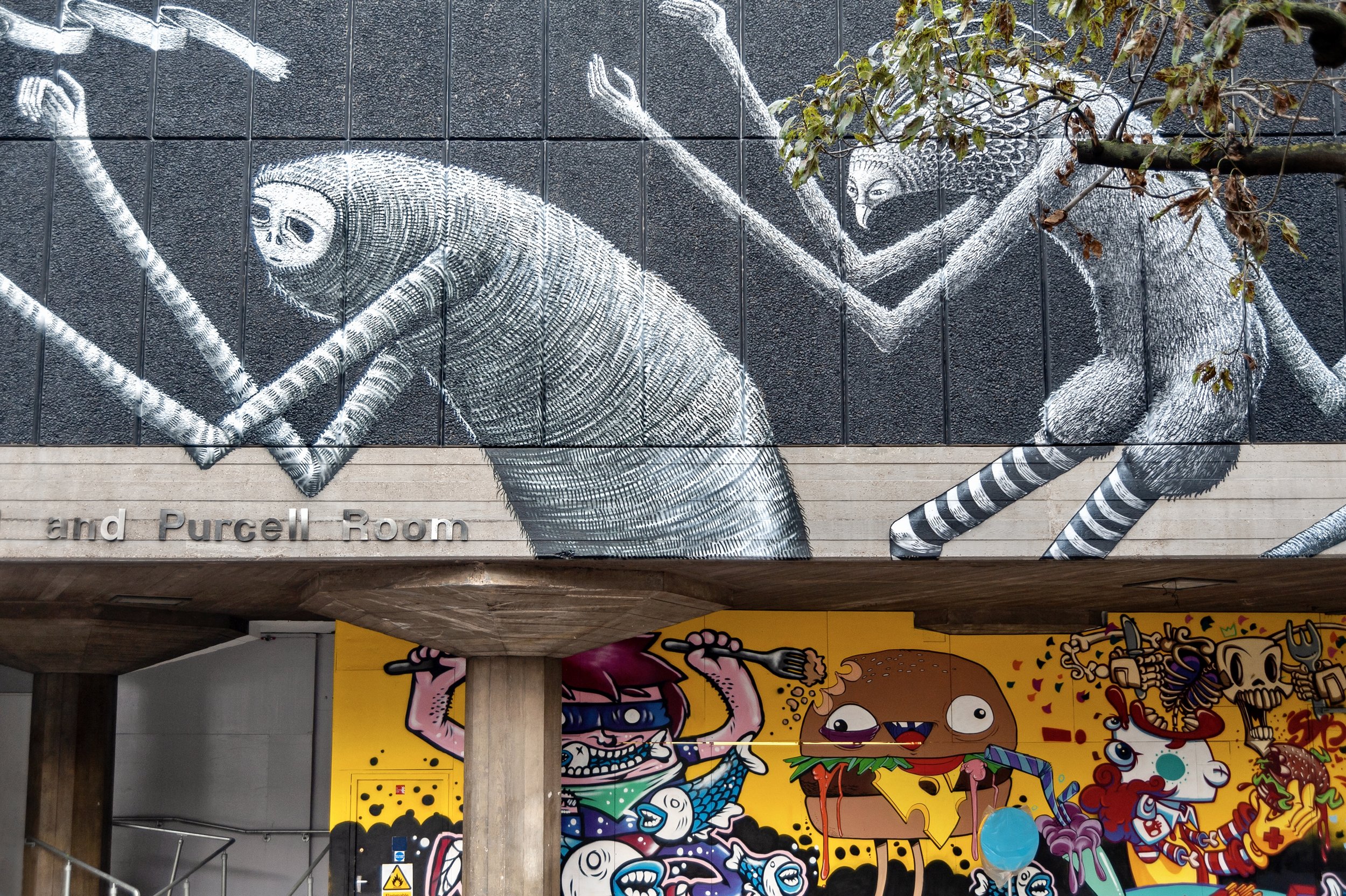 DSC_5491a.jpg