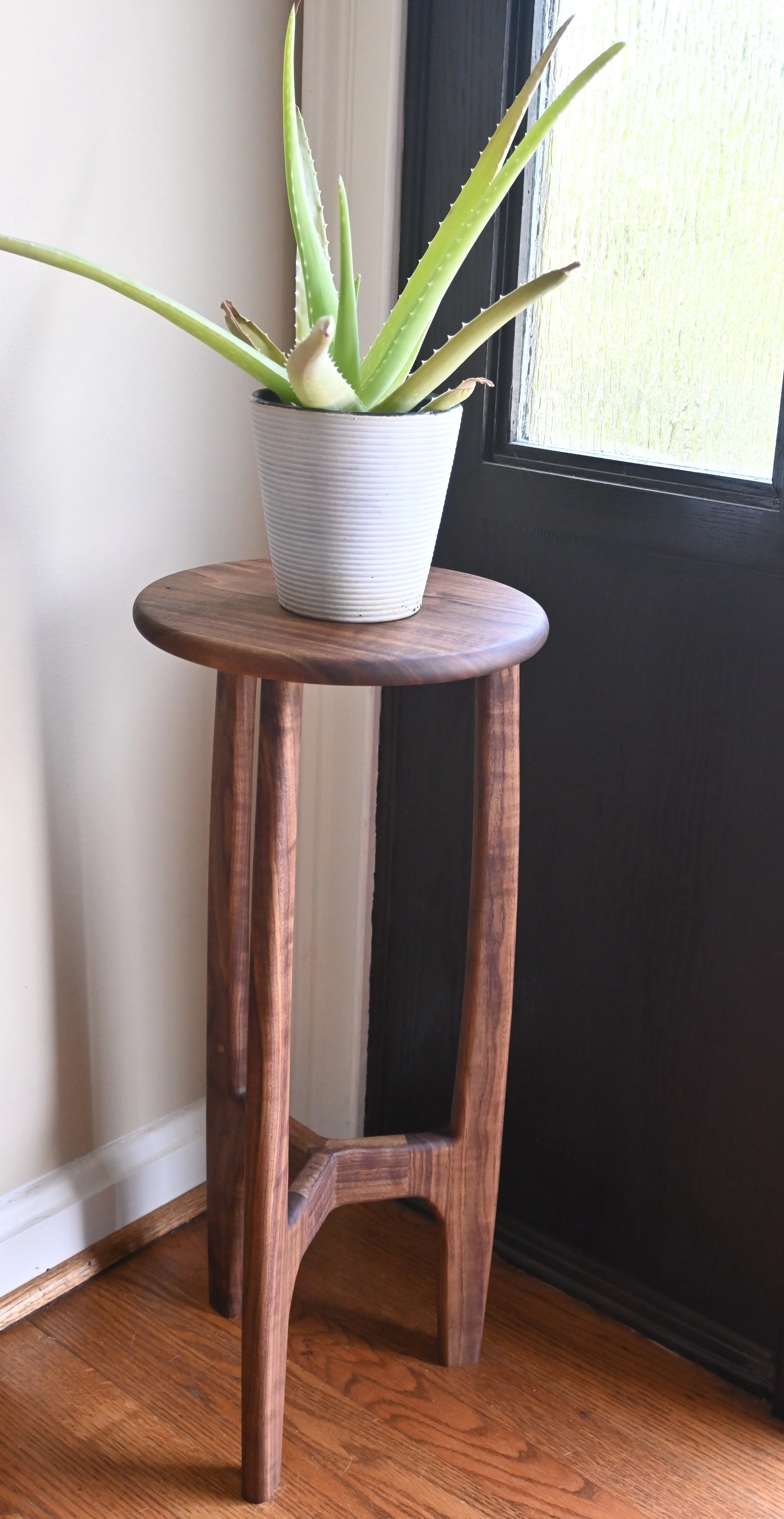 Walnut_Plant.JPG
