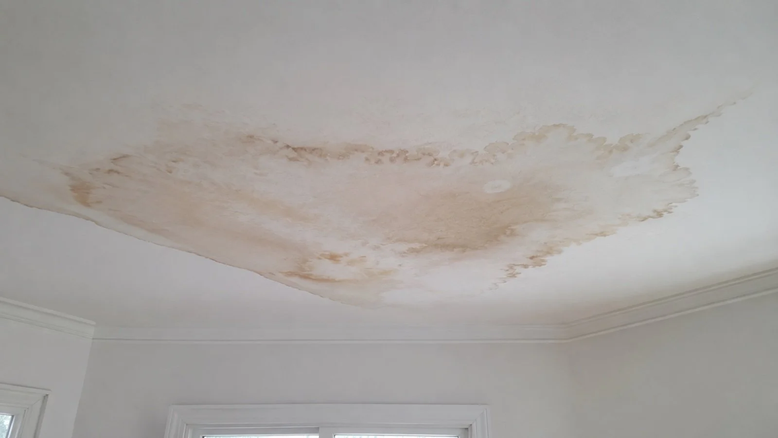 Water stain spreading across a white ceiling from a hidden leak above