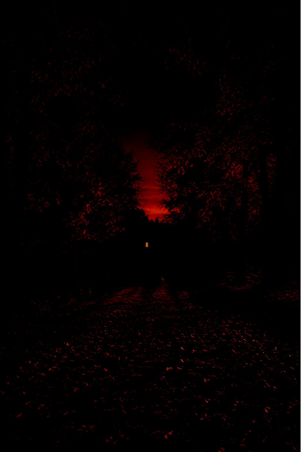 Dark forest scene at dusk with a red sky in the background, silhouetted trees, and a small illuminated structure or house in the distance.