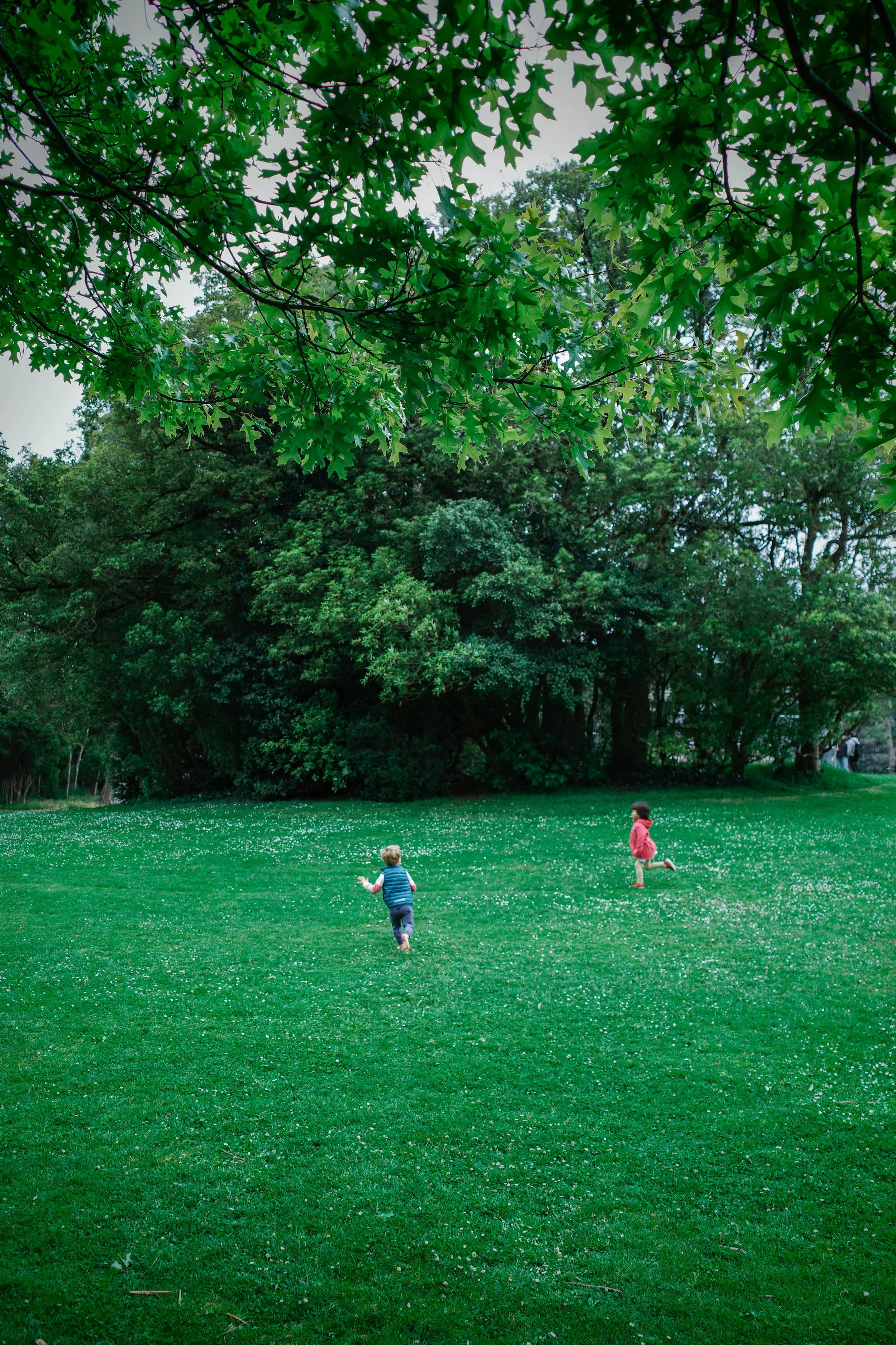 Two children playing on a green lawn in a park surrounded by tall trees with lush foliage