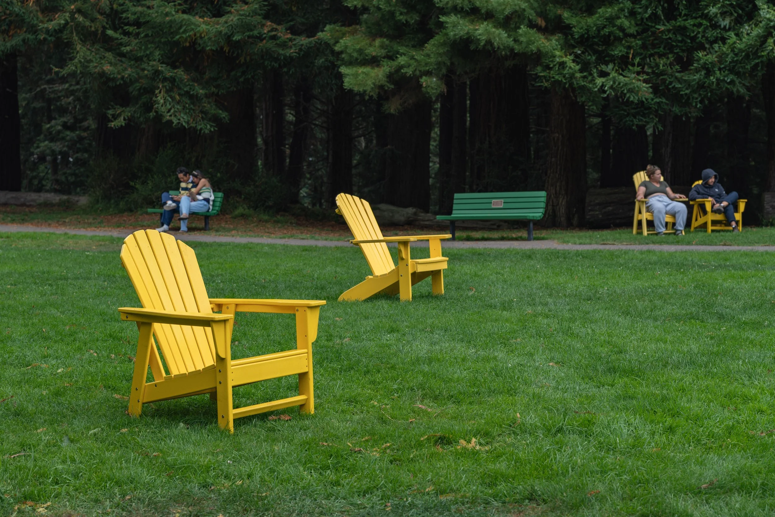 A park scene with yellow and green benches on a lush green lawn, with four people sitting on several of the benches and trees in the background.