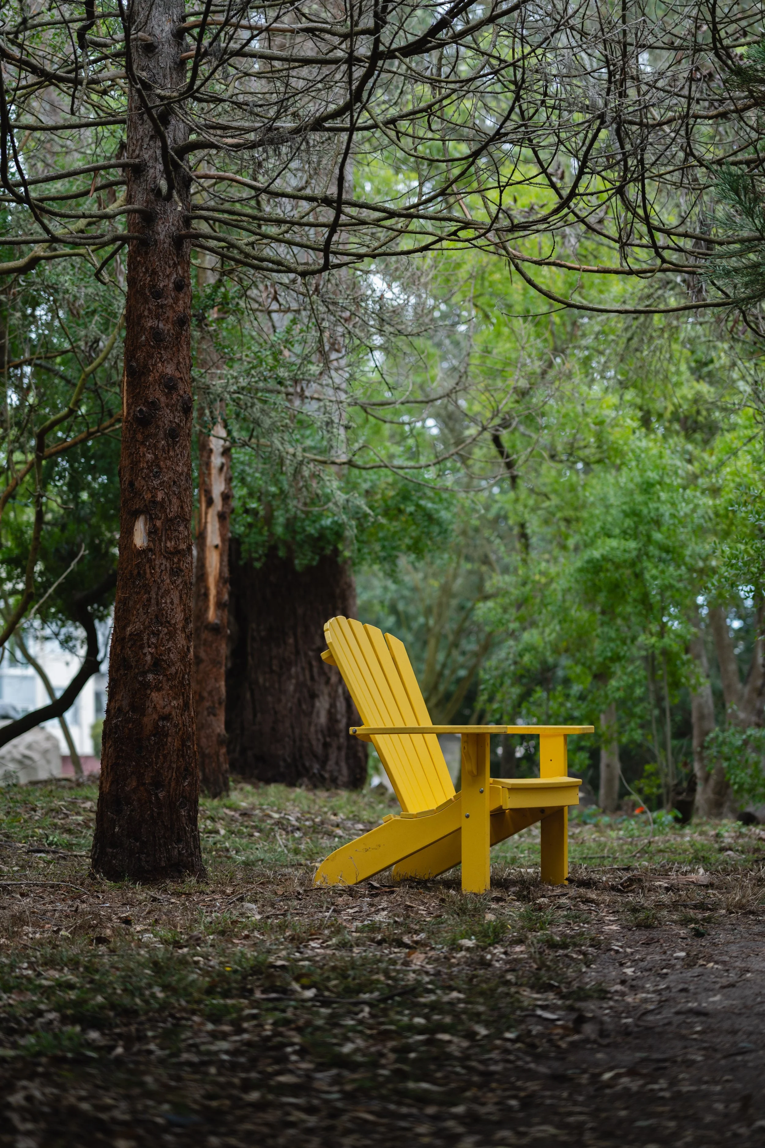 A yellow Adirondack chair in a forest setting among trees and greenery.