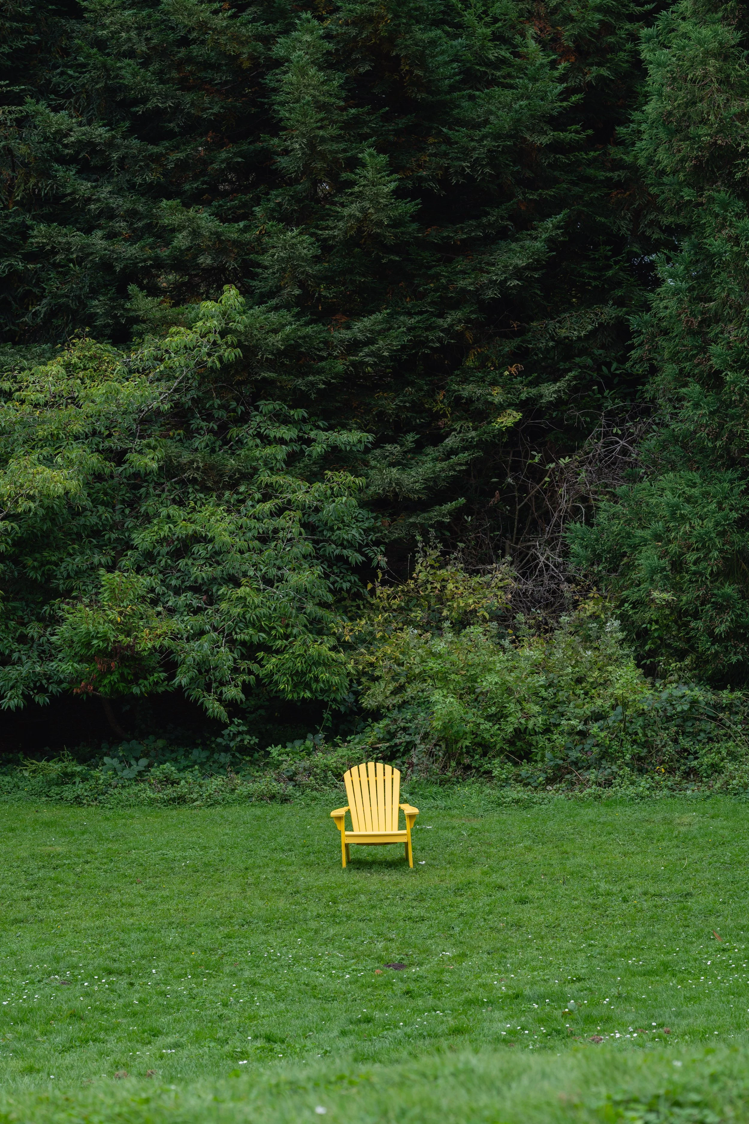 A yellow Adirondack chair positioned on a lush green lawn, with a dense backdrop of dark green pine trees.
