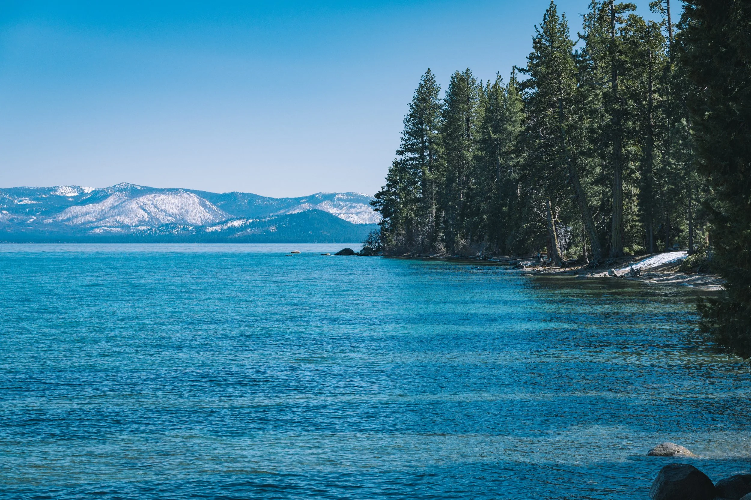 A clear lake with turquoise water, a shoreline with trees, and snow-capped mountains in the background under a bright blue sky.