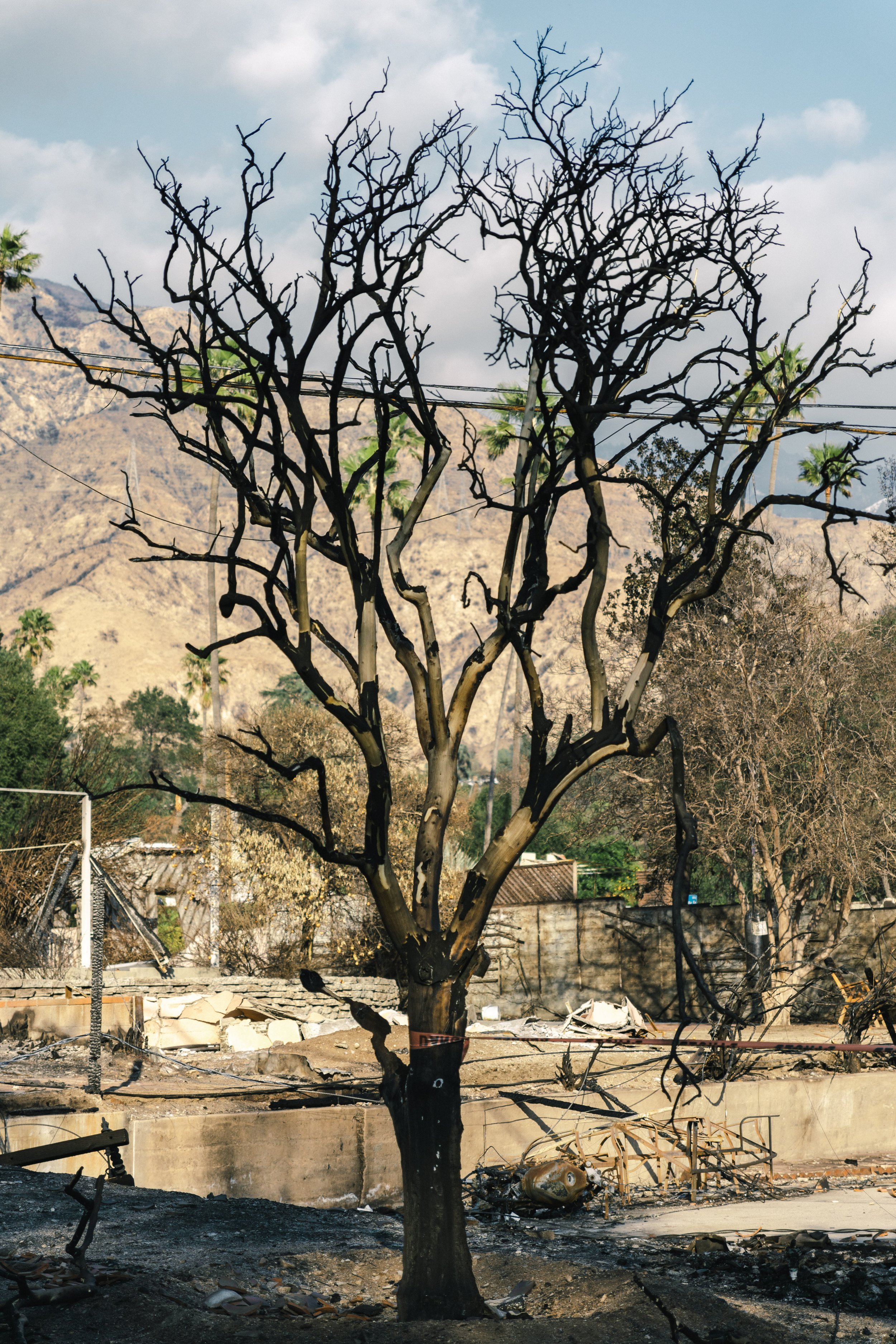 Burned tree with blackened branches stands in front of a damaged construction site with debris, a chain-link fence, and mountains in the background.