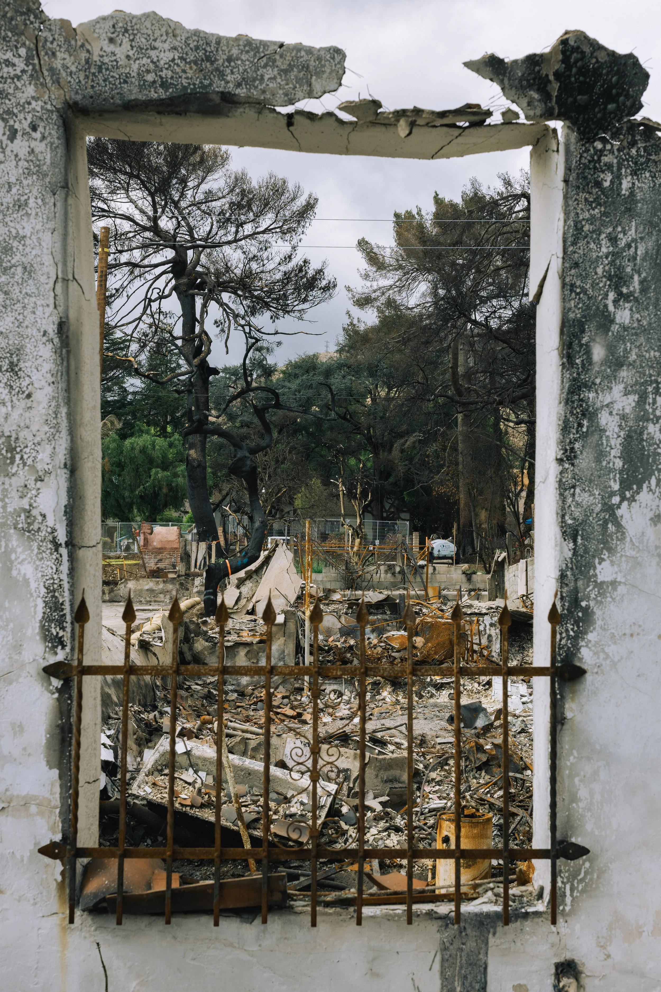 Ruined building viewed through a window with a rusted metal gate, debris and charred trees inside, overcast sky.