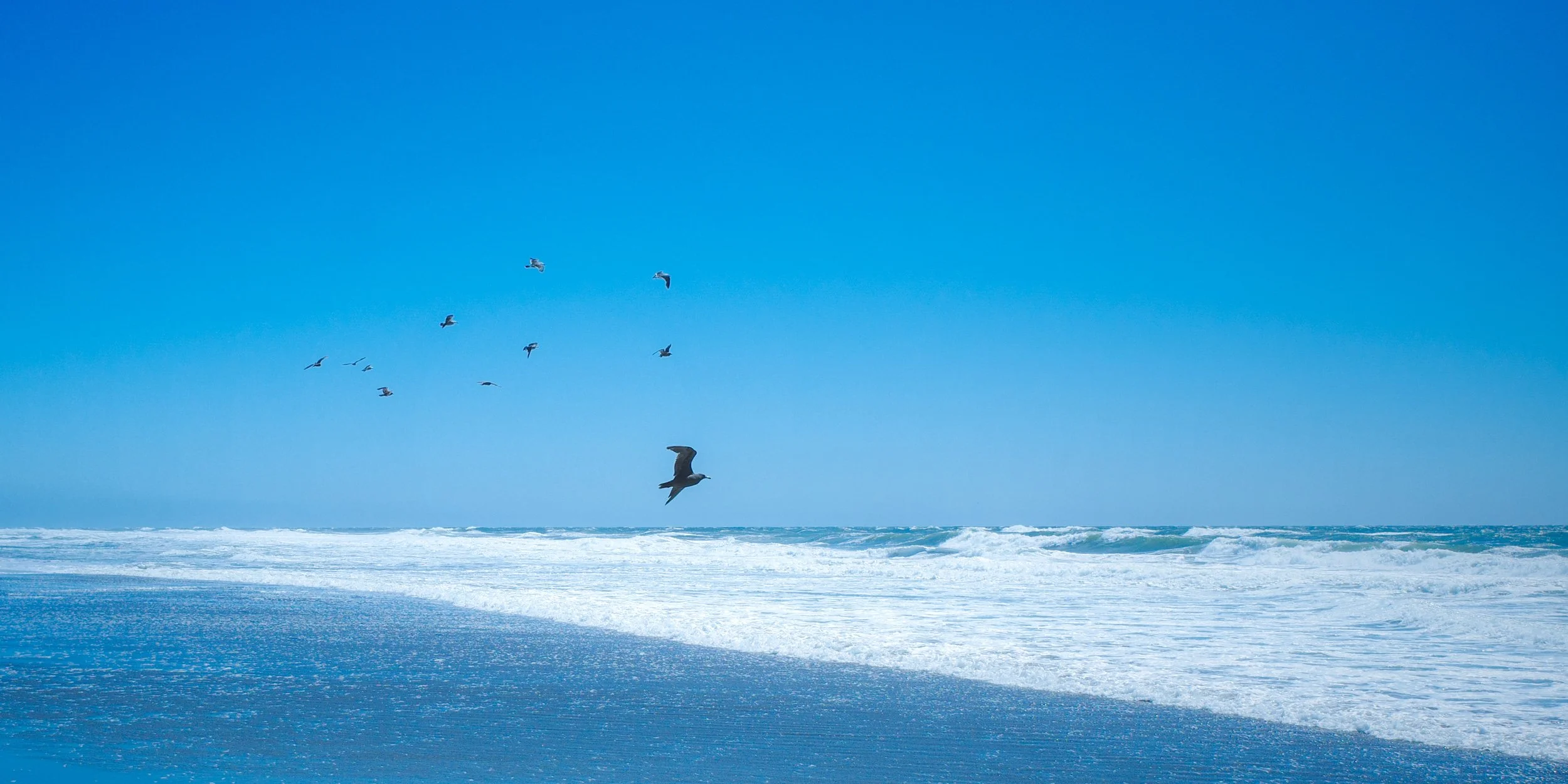 Seagulls flying over the ocean with waves crashing on the shore under a clear blue sky.