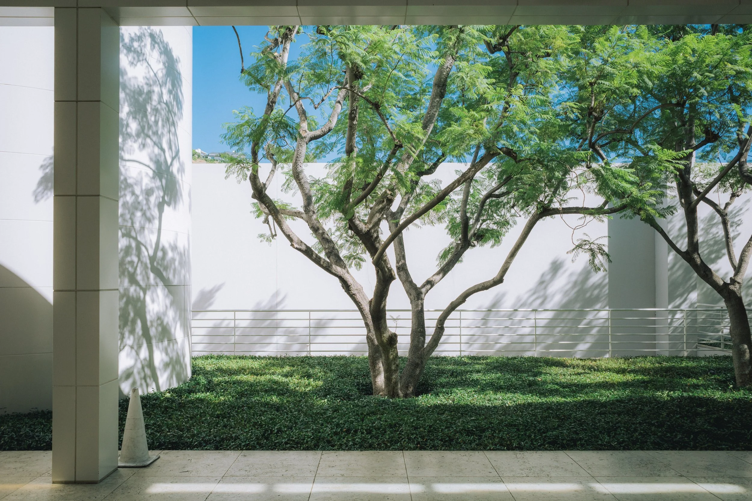 A modern building exterior with white walls and overhang, a large leafy tree, a grass patch, and a white fence visible in the background.