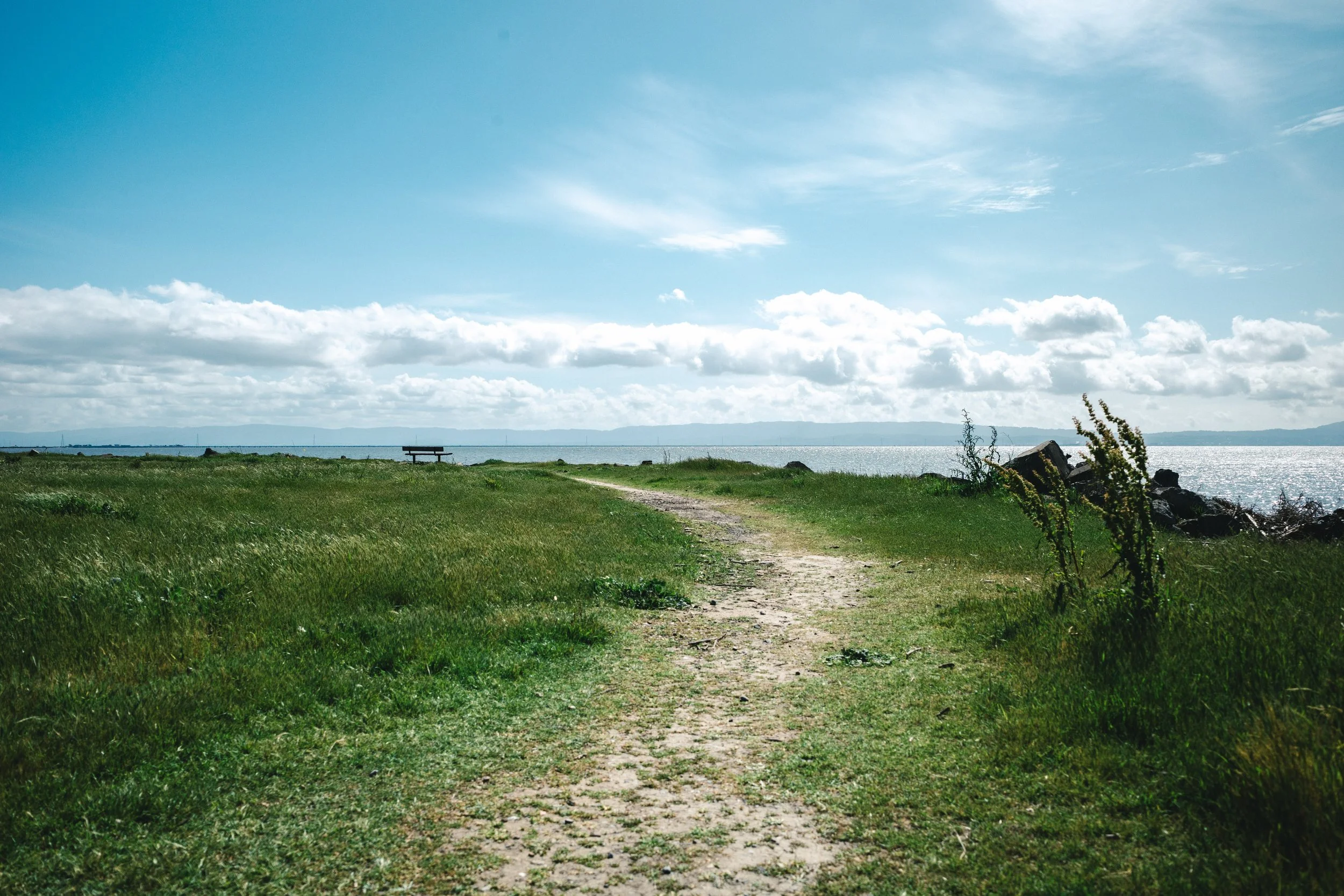 A dirt path runs through a grassy field overlooking a body of water with cloudy skies above.