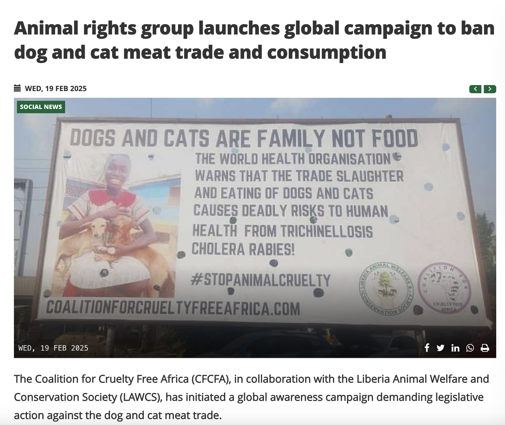 A billboard with a message from the Coalition for Cruelty Free Africa, featuring a woman holding two dogs and text that reads 'Dogs and cats are family, not food'. The billboard promotes awareness against dog and cat meat trade and slaughter, with logos of animal welfare organizations.
