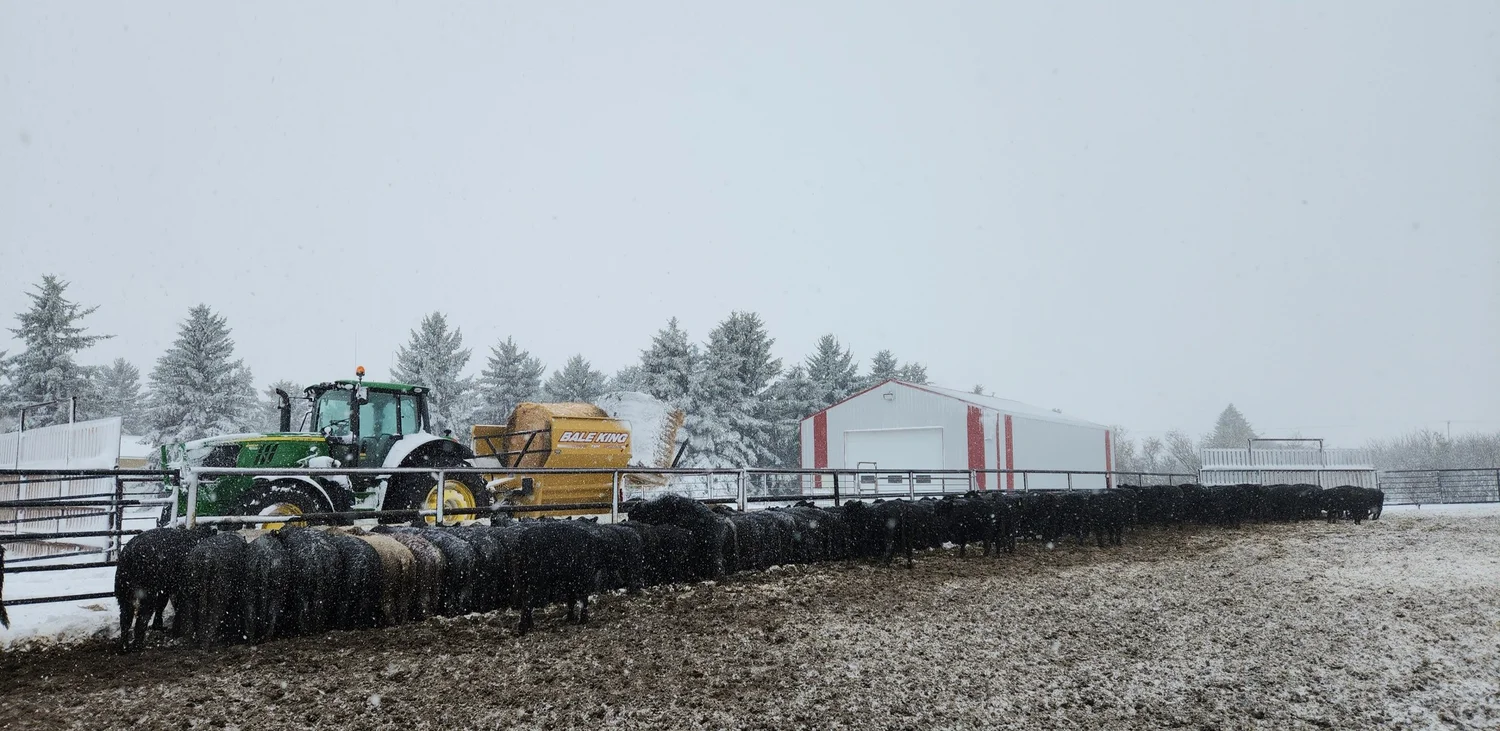 Winter operations at Wilson Grains