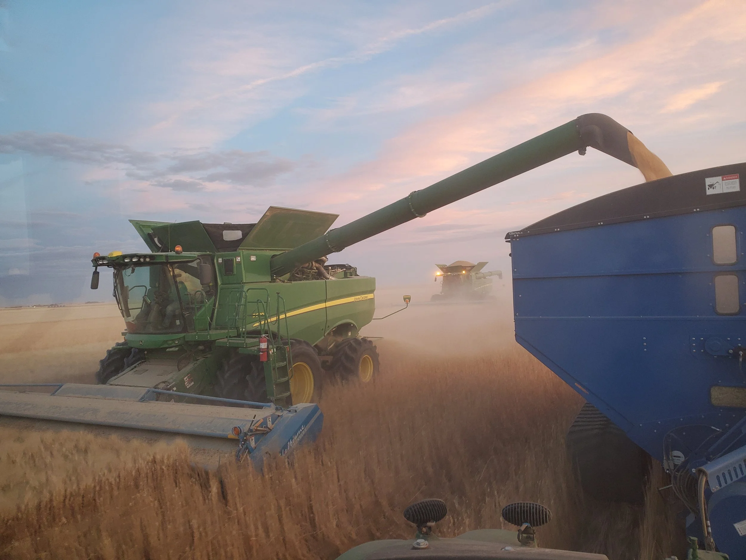 Cereal Rye