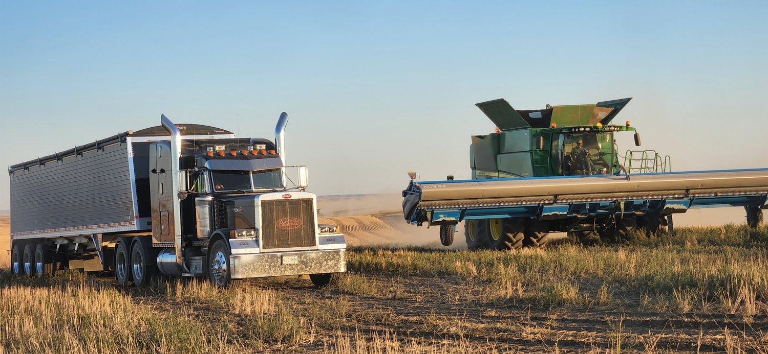 Harvest at Wilson Grains