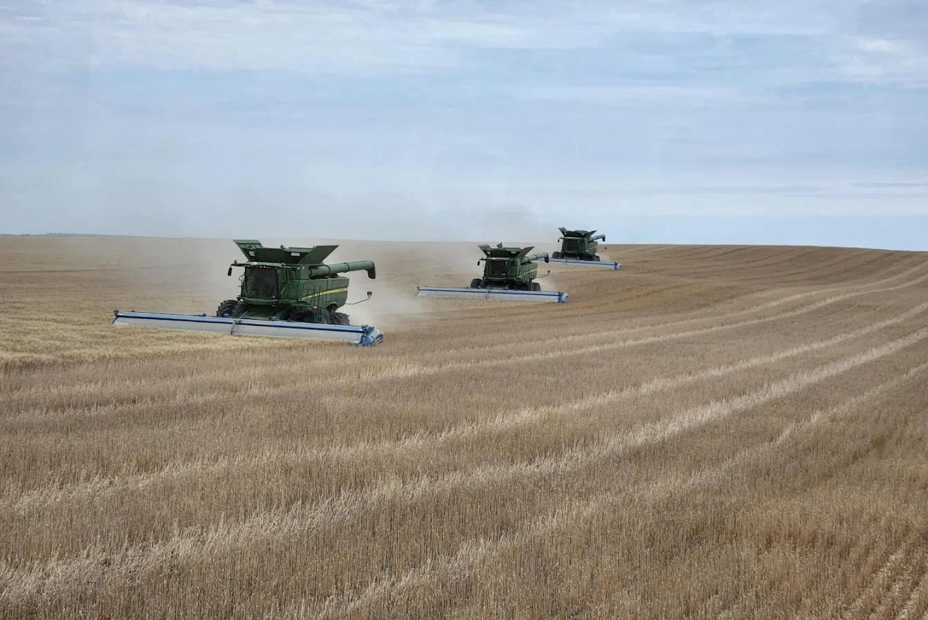 durum-wheat-combines.jpg
