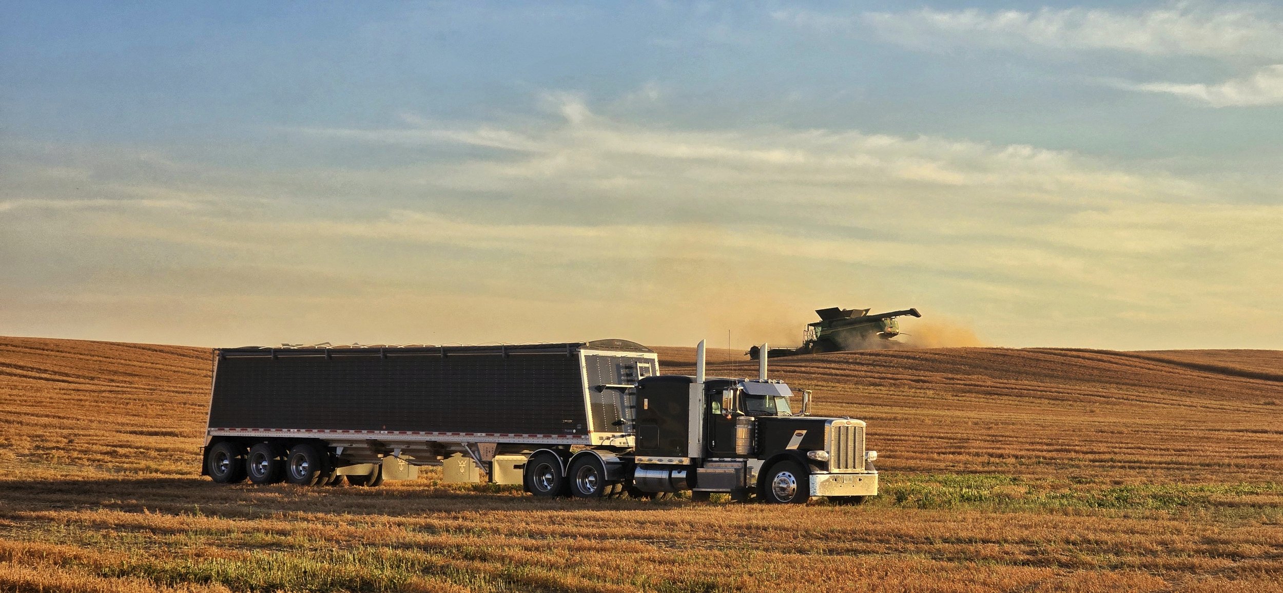 A large black semi-truck with a trailer parked in a vast golden wheat field. In the background, a combine harvester is working on the crop, kicking up dust, under a partly cloudy sky during sunset.
