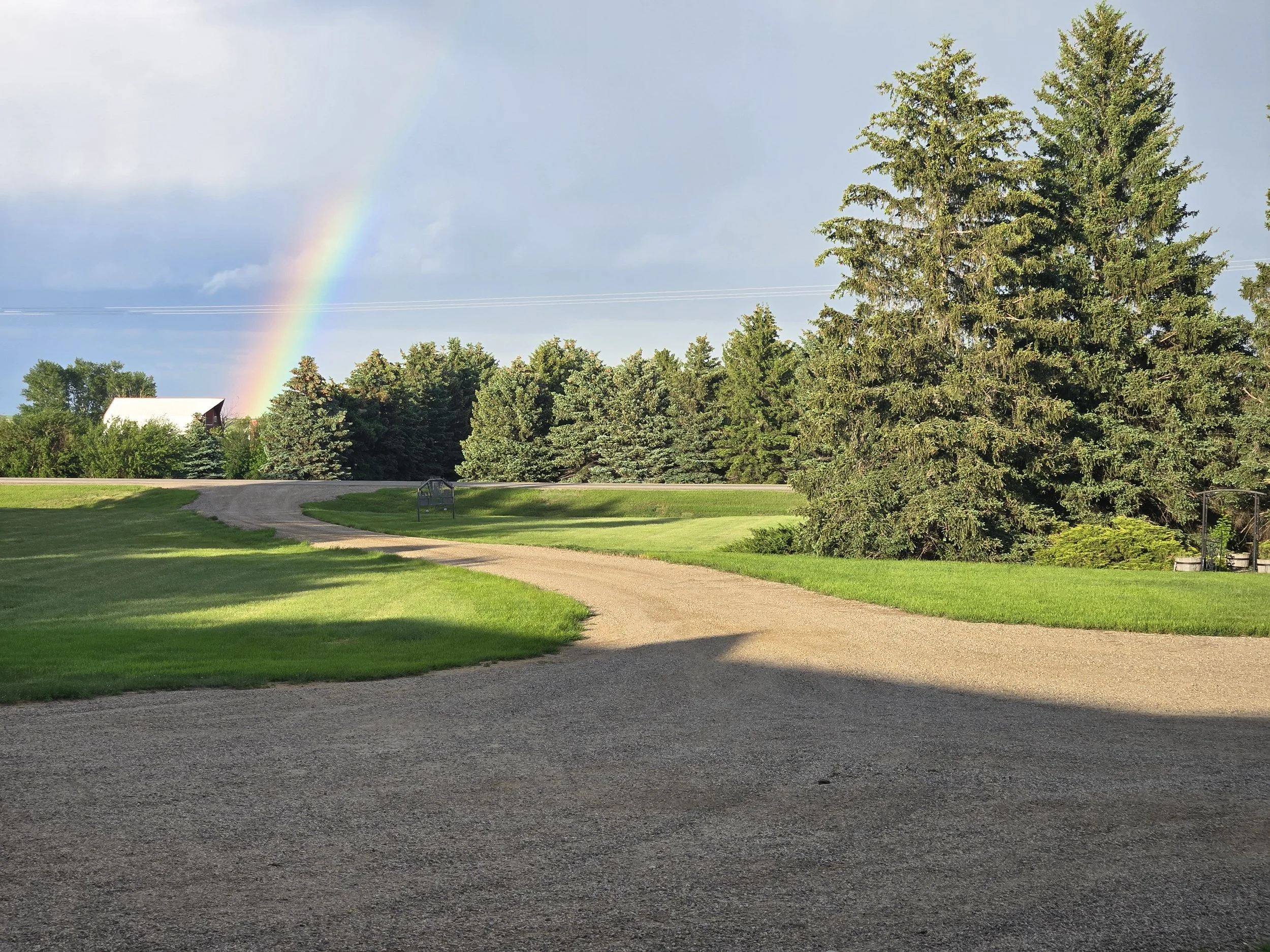 A gravel pathway in a park with green grass on either side, leading towards a background of trees and a building. There is a rainbow in the cloudy sky.