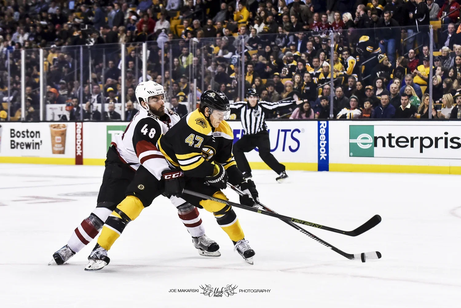 Two ice hockey players competing for the puck during a game, with a crowd watching from the stands in the background.