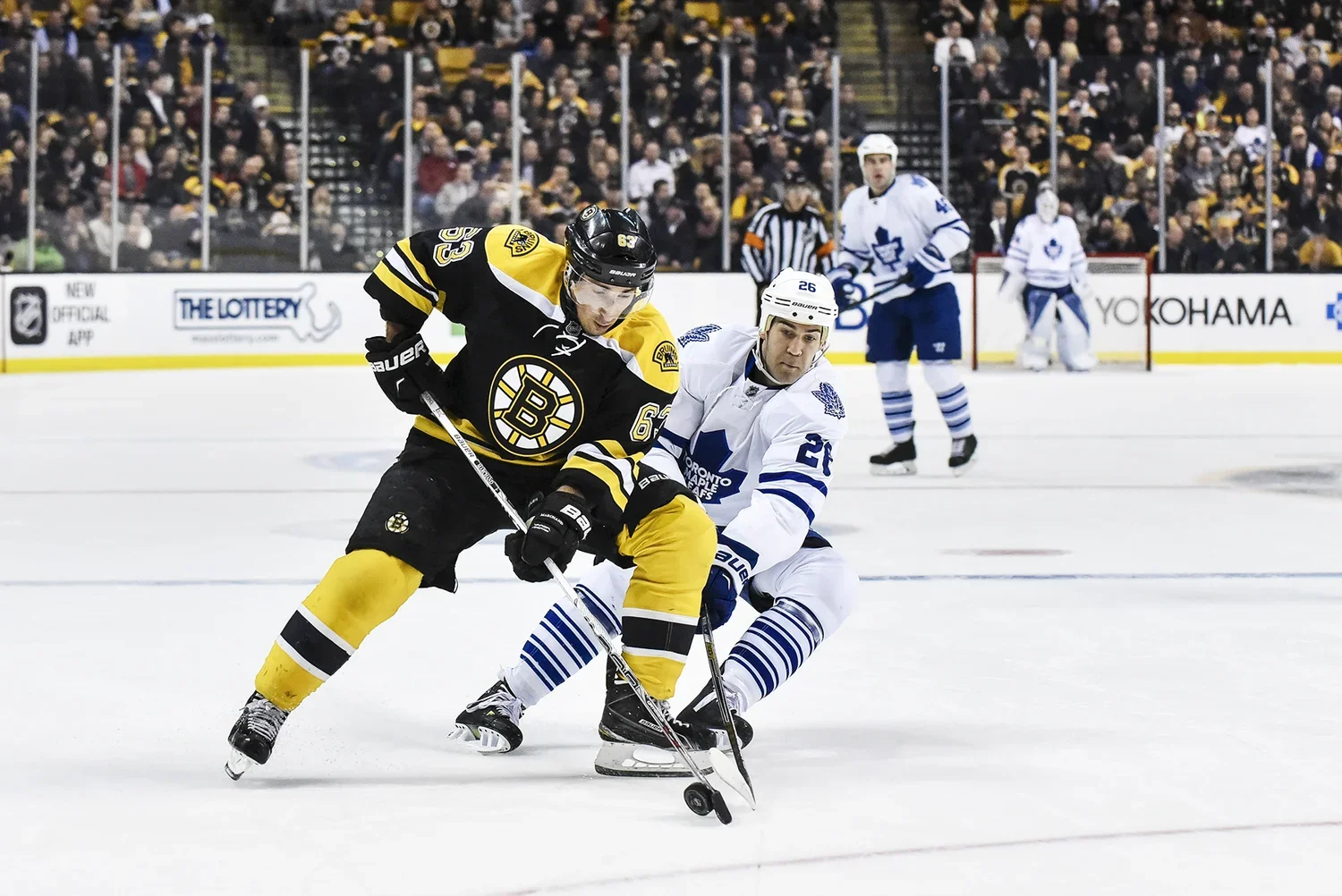 Two ice hockey players compete for the puck during a game. The player in black and yellow uniform is from the Boston Bruins, and the player in white and blue uniform is from the Toronto Maple Leafs. Other players and fans are visible in the backgroun