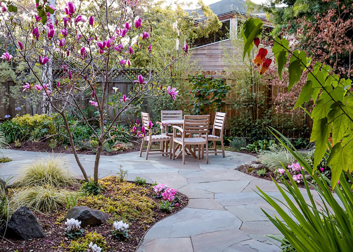 Courtyard_Oasis_1.png
