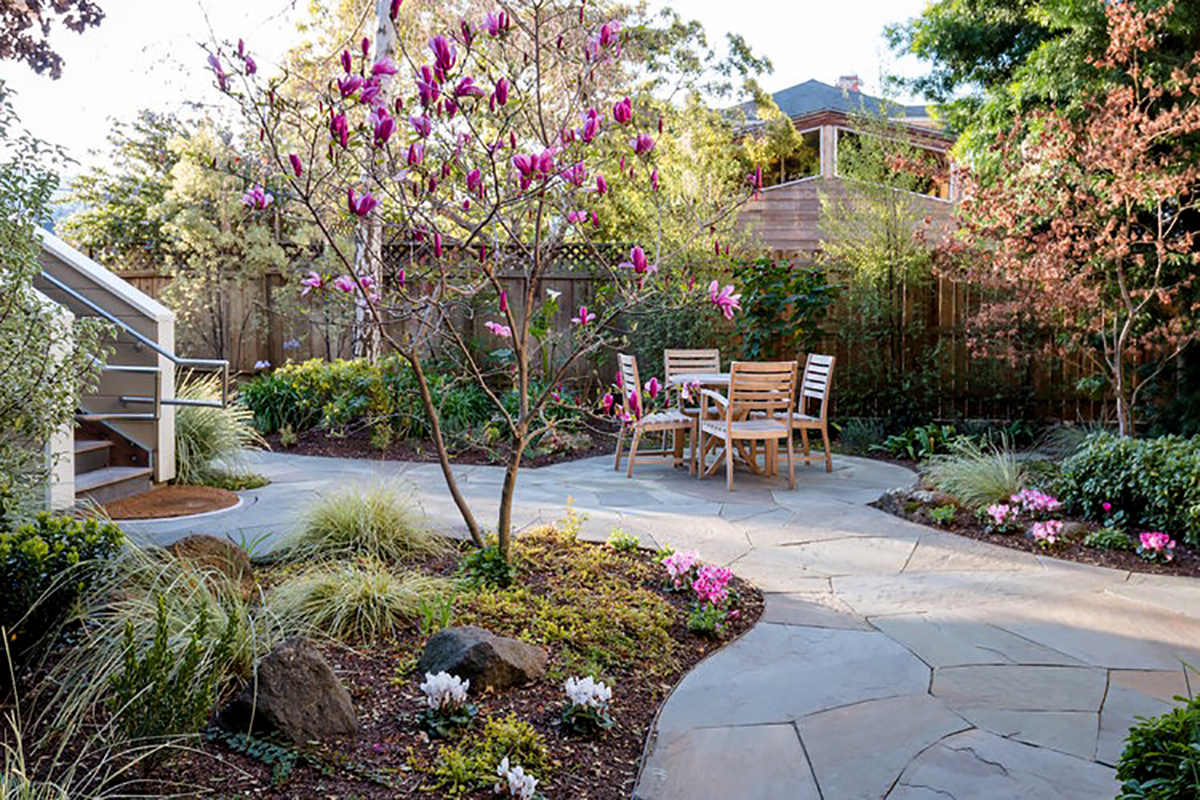 Courtyard_Oasis_2.png