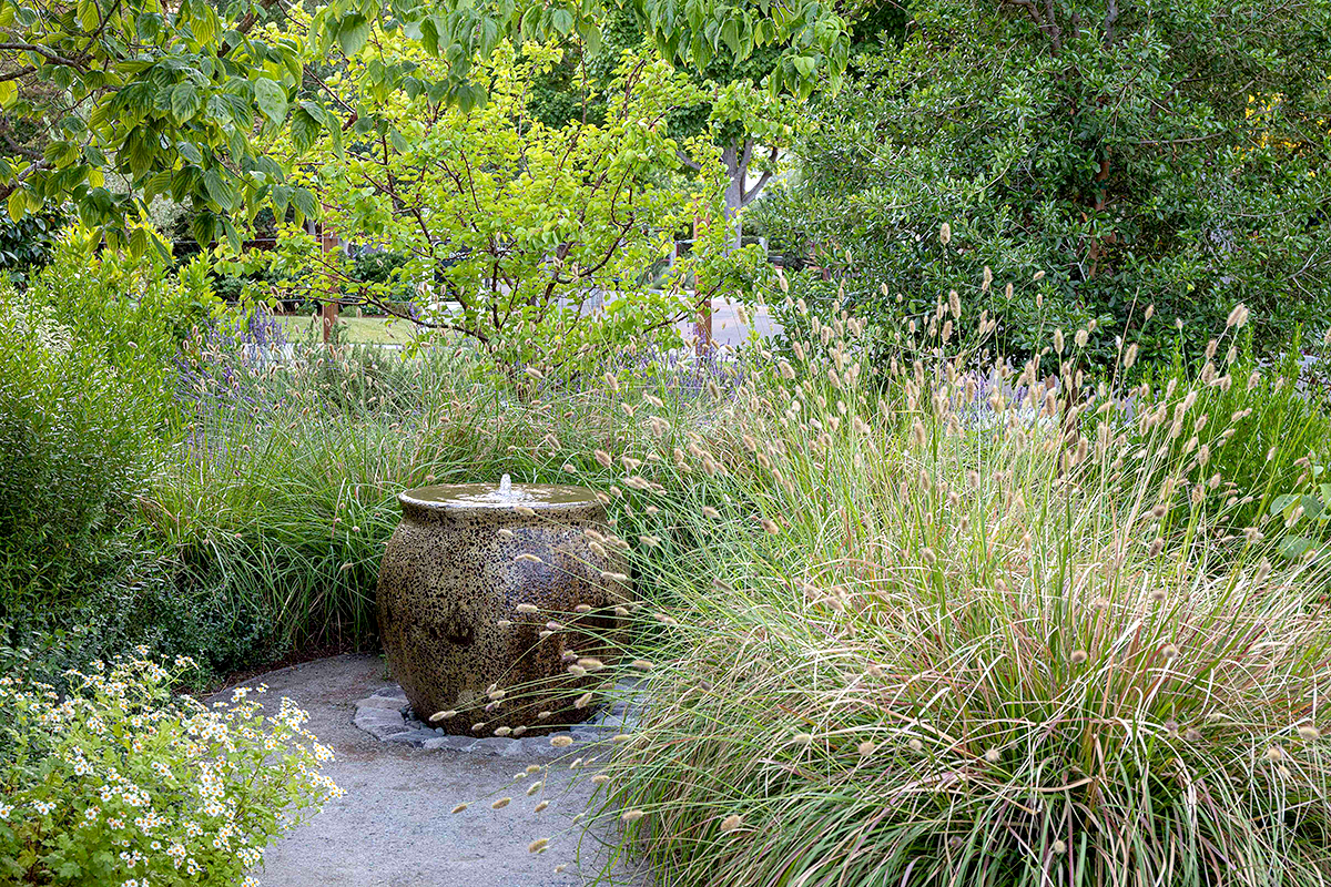 Water-Fountain-and-Plants.png
