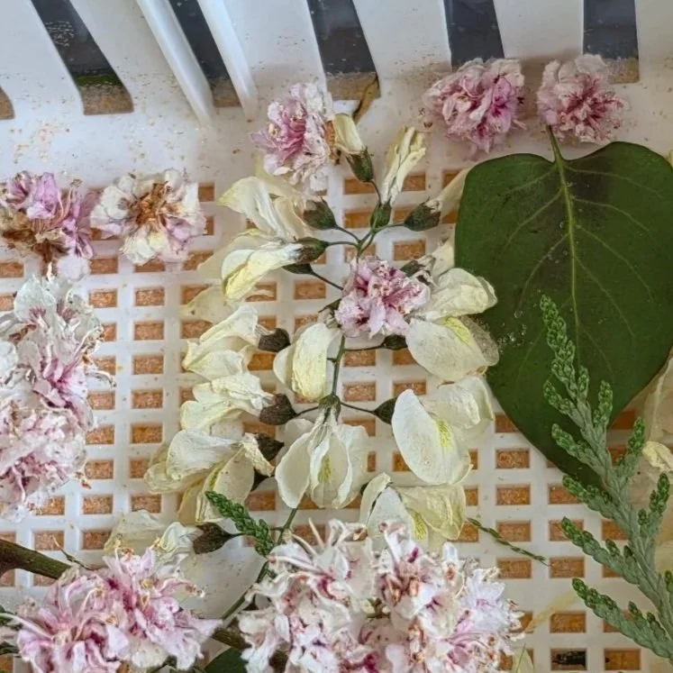 Various flowers and a large green leaf on a white slatted surface.