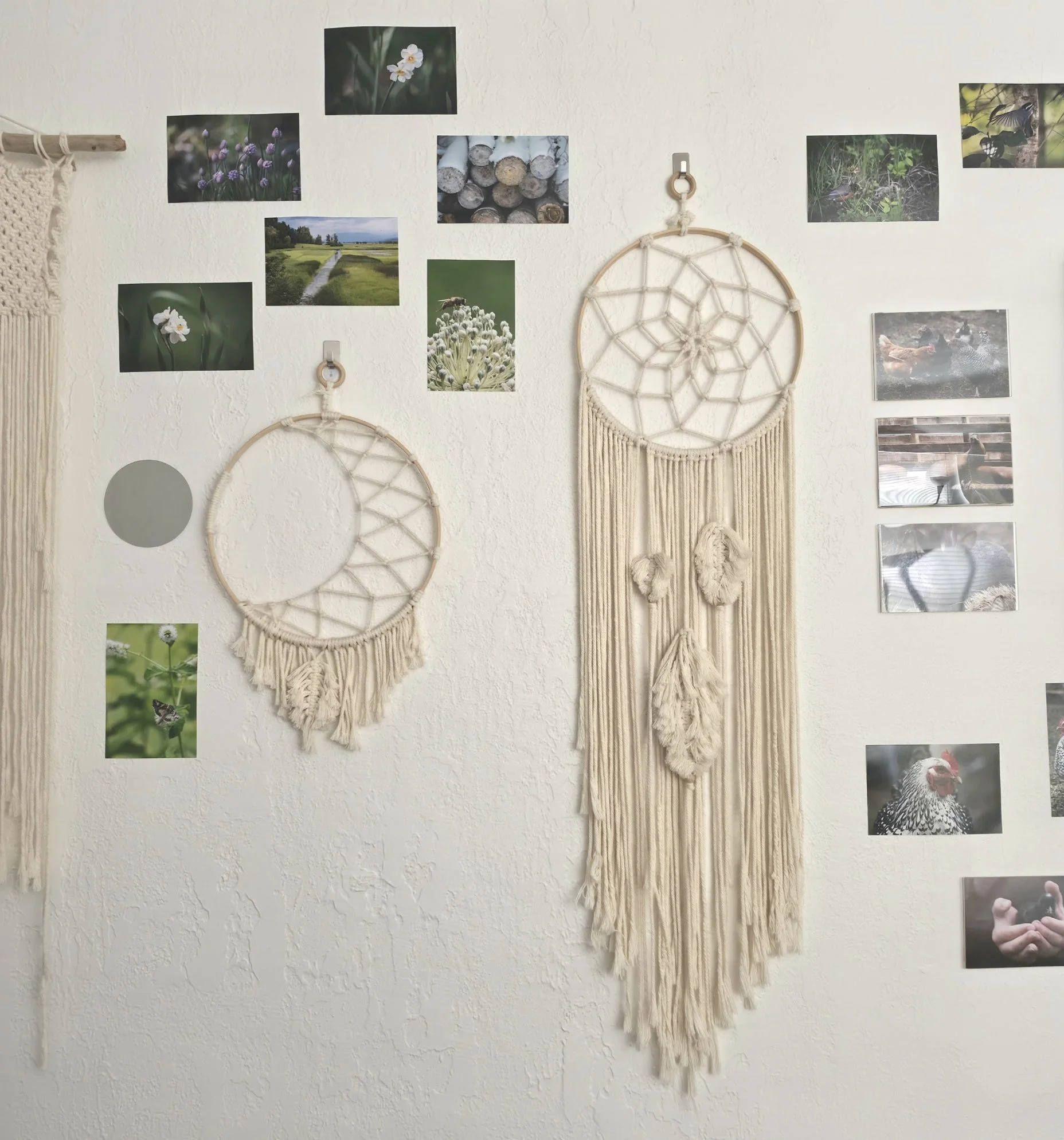 Decorative wall with photos of flowers, nature scenes, and wildlife, along with two dreamcatchers hanging on the wall.