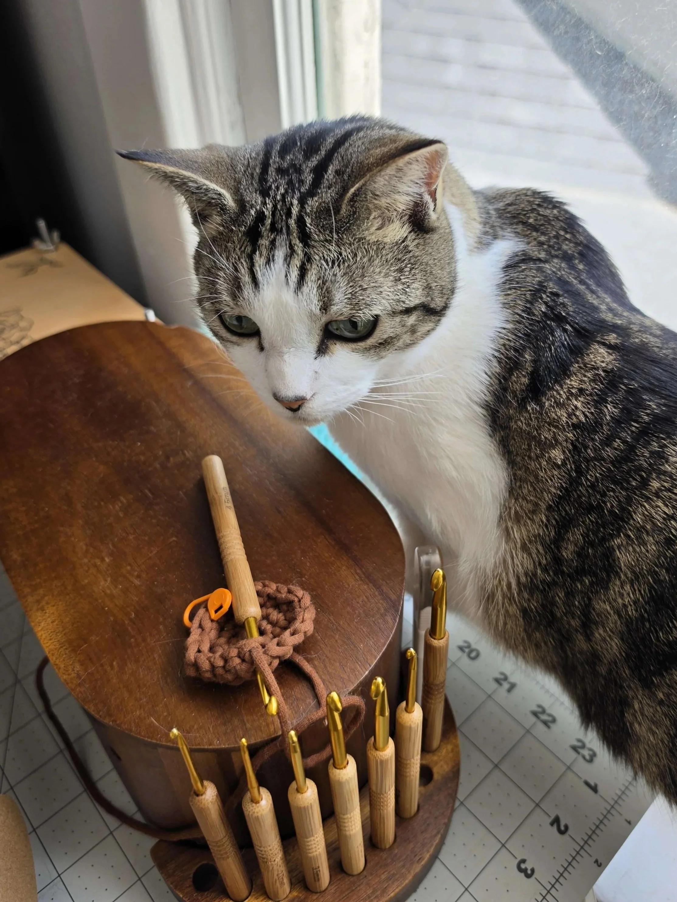 A tabby cat with white chest and paws sitting on a wooden table next to knitting needles, yarn, and a crochet project. The cat is looking downwards, and there is a calendar or measuring grid underneath the table.