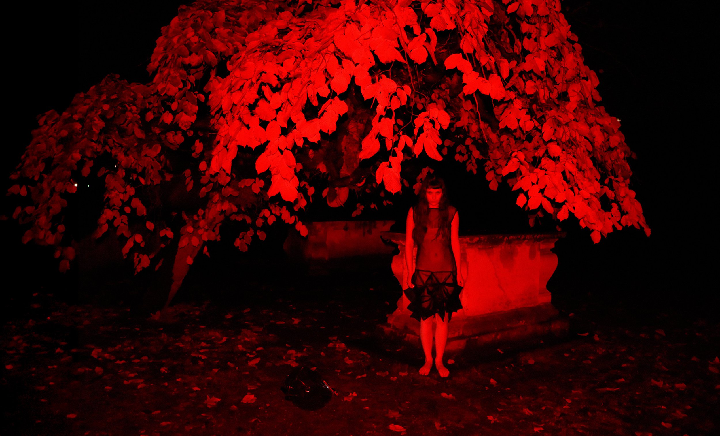 A girl with long hair and dark clothing stands in front of a large tree with red glowing leaves at night. The scene is dark with a red light illuminating the leaves and the girl.