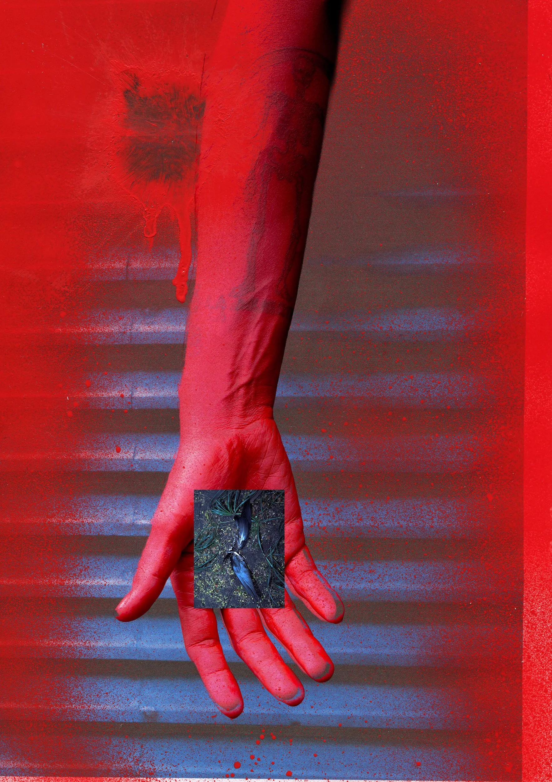 Close-up of a red hand with black sketched markings, with a small rectangular inset of black bugs on a gray surface at the bottom, on a background with red and blue tones.