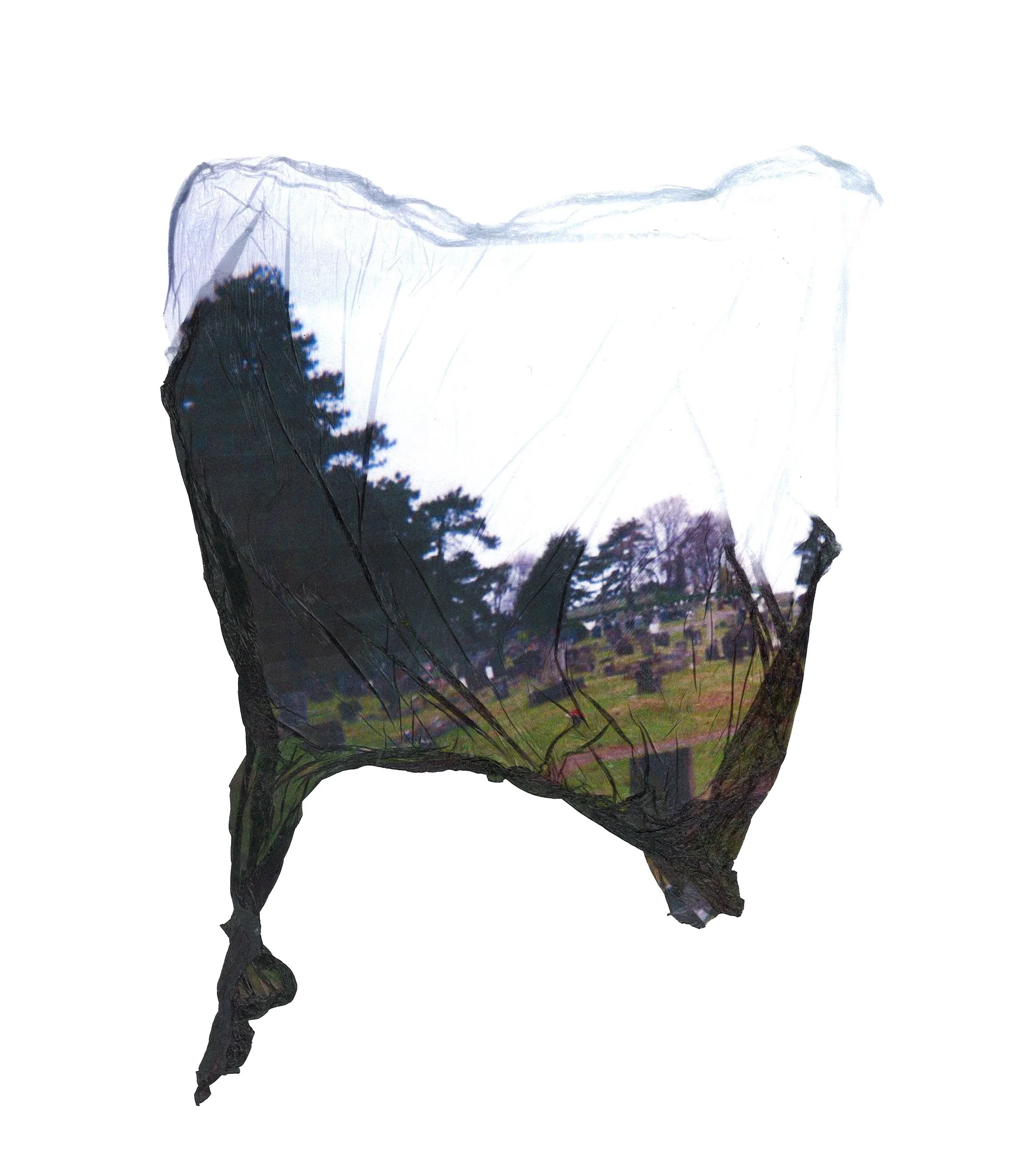 A torn piece of paper with an image of a landscape showing trees and a meadow, torn irregularly.