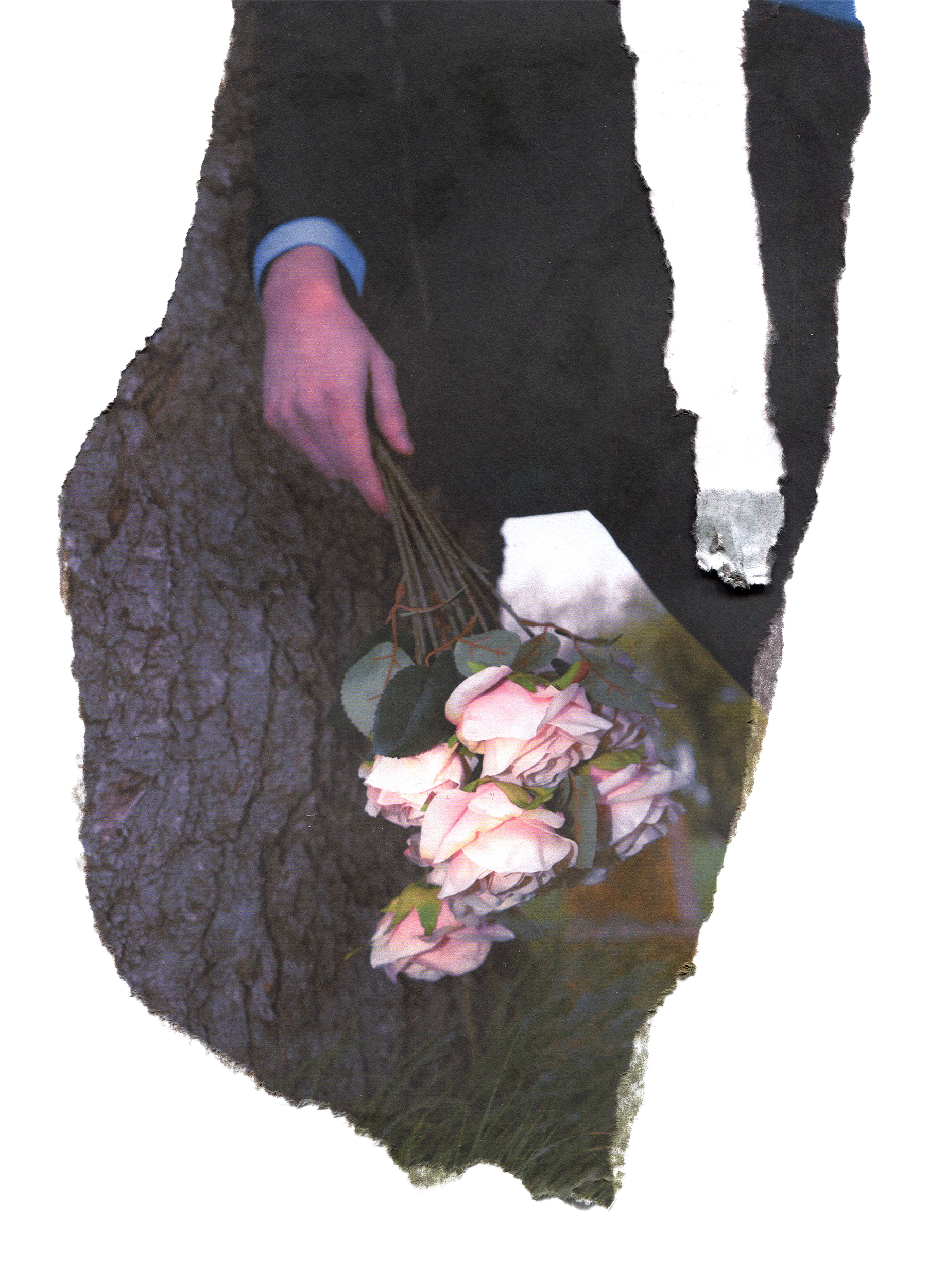 A person wearing a dark coat with a blue sleeve partially visible, holding a pinkish flower with green leaves and brown stems near a tree trunk.