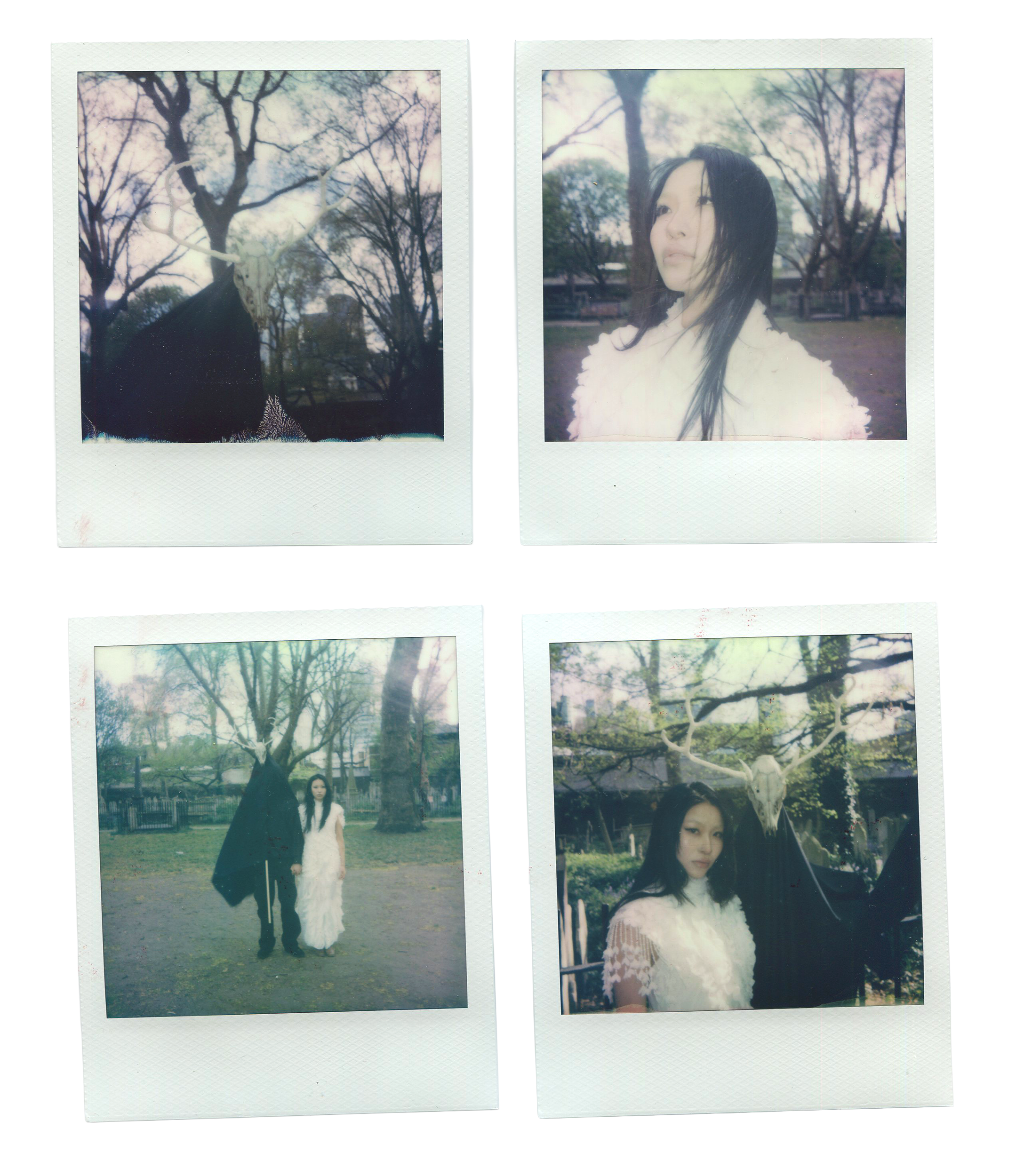 Four printed photographs of a woman in a park with trees. In the top right photo, the woman with long black hair is seen smiling slightly, wearing a white fur coat. In the bottom left photo, she is walking with a person wearing a similar white coat. The other two photos show tree scenes, with one featuring a tree with a skull and horns attached, and the other just trees with branches and foliage.