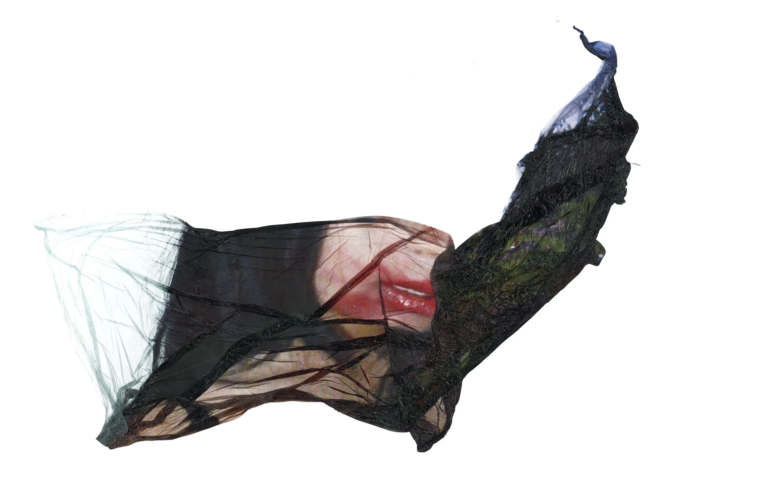 A person wearing black gloves holding a small, dark-colored object with a mesh or net-like texture.