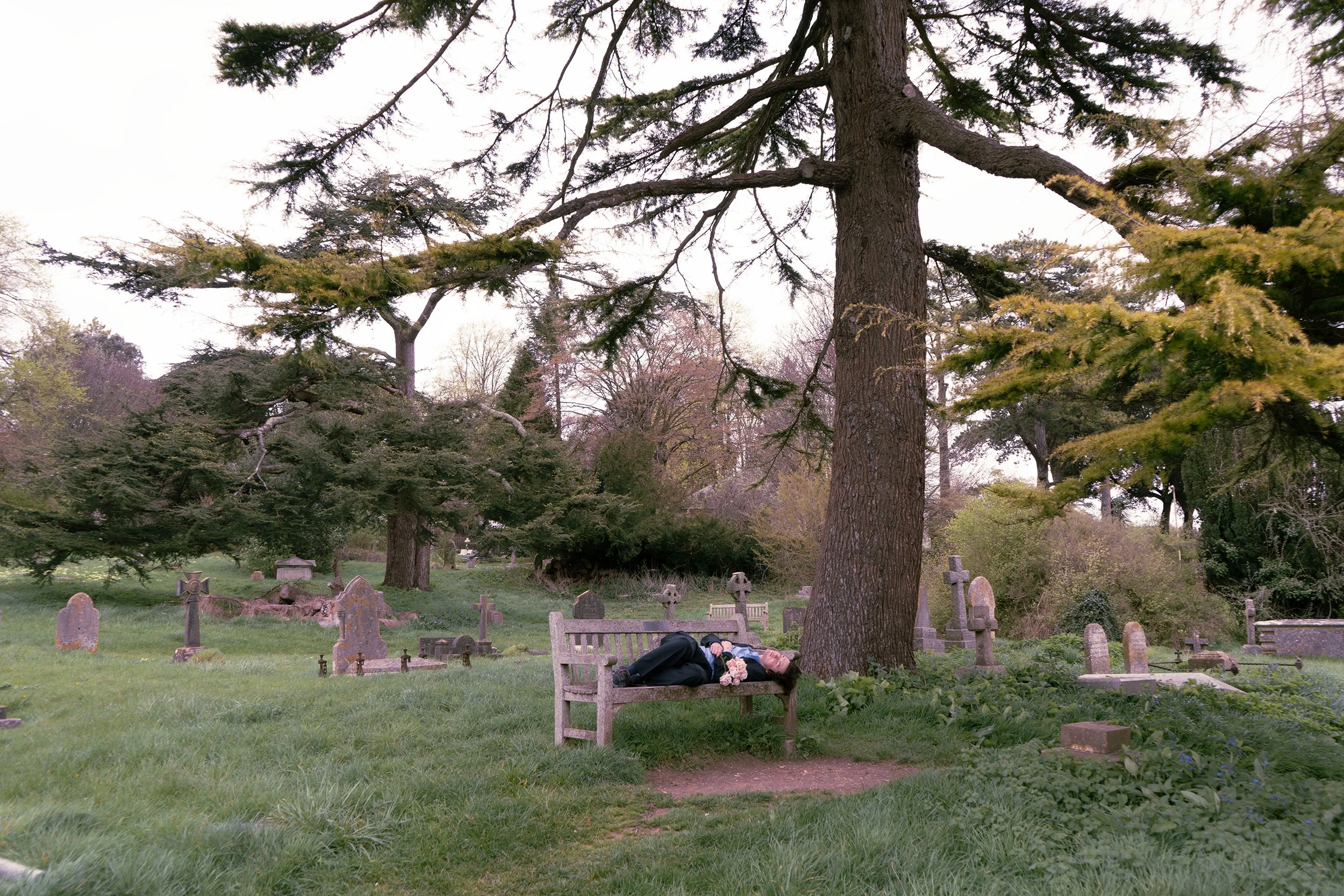 A man lying on a park bench under a large tree, in a graveyard with headstones and surrounded by other trees.