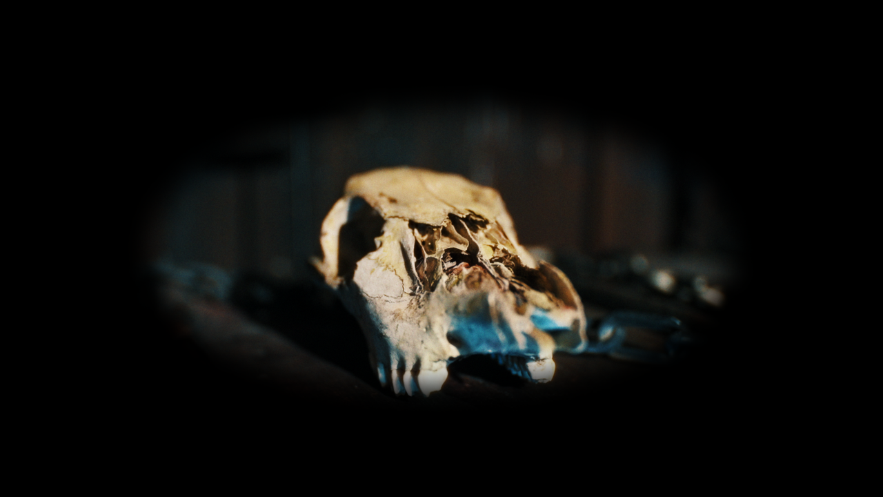 16.png