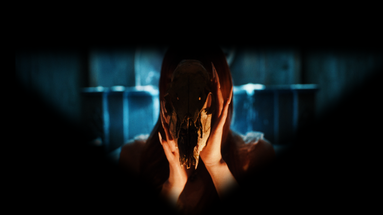 12.png