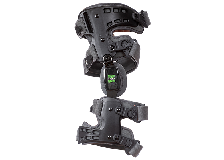 Vector OA Knee_1.png