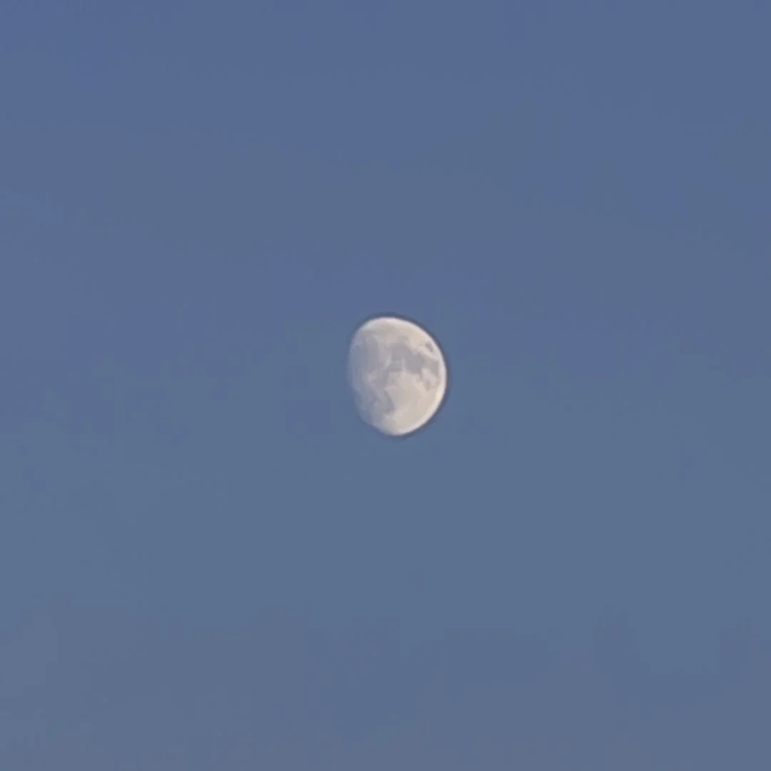 20240914-8W5A4785-5.jpg
